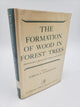 The Formation Of Wood In Forest Trees