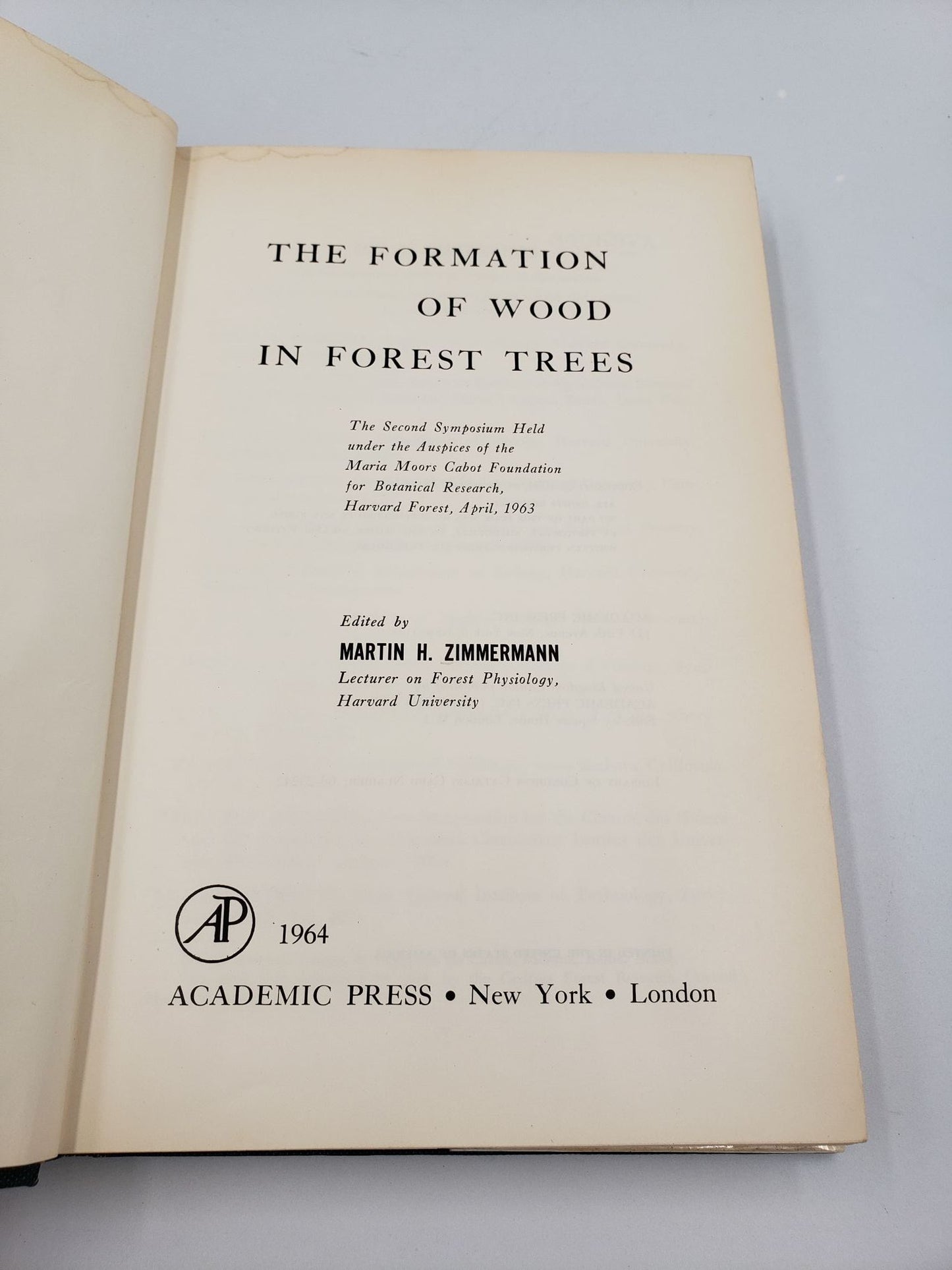 The Formation Of Wood In Forest Trees