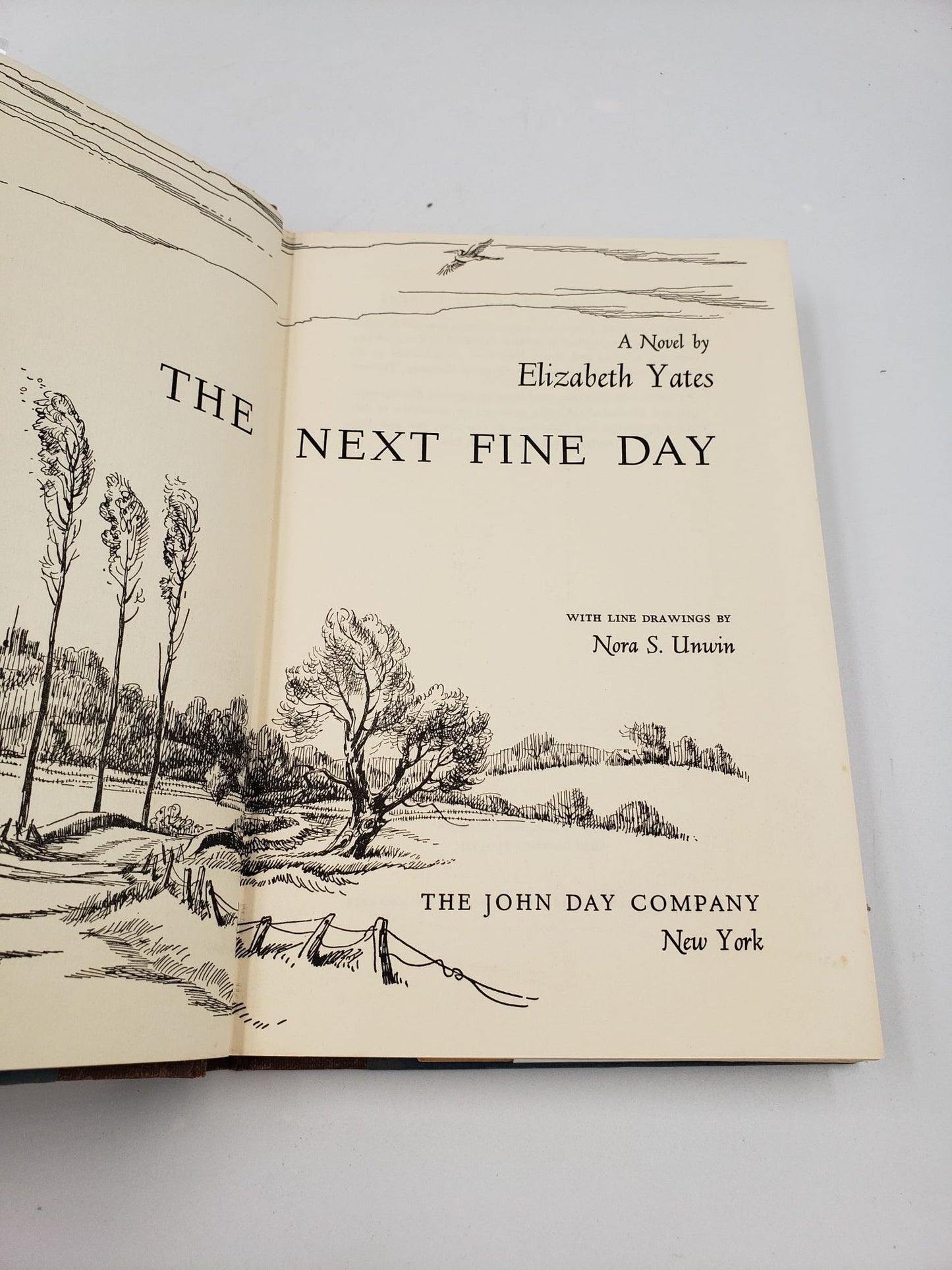 The Next Fine Day