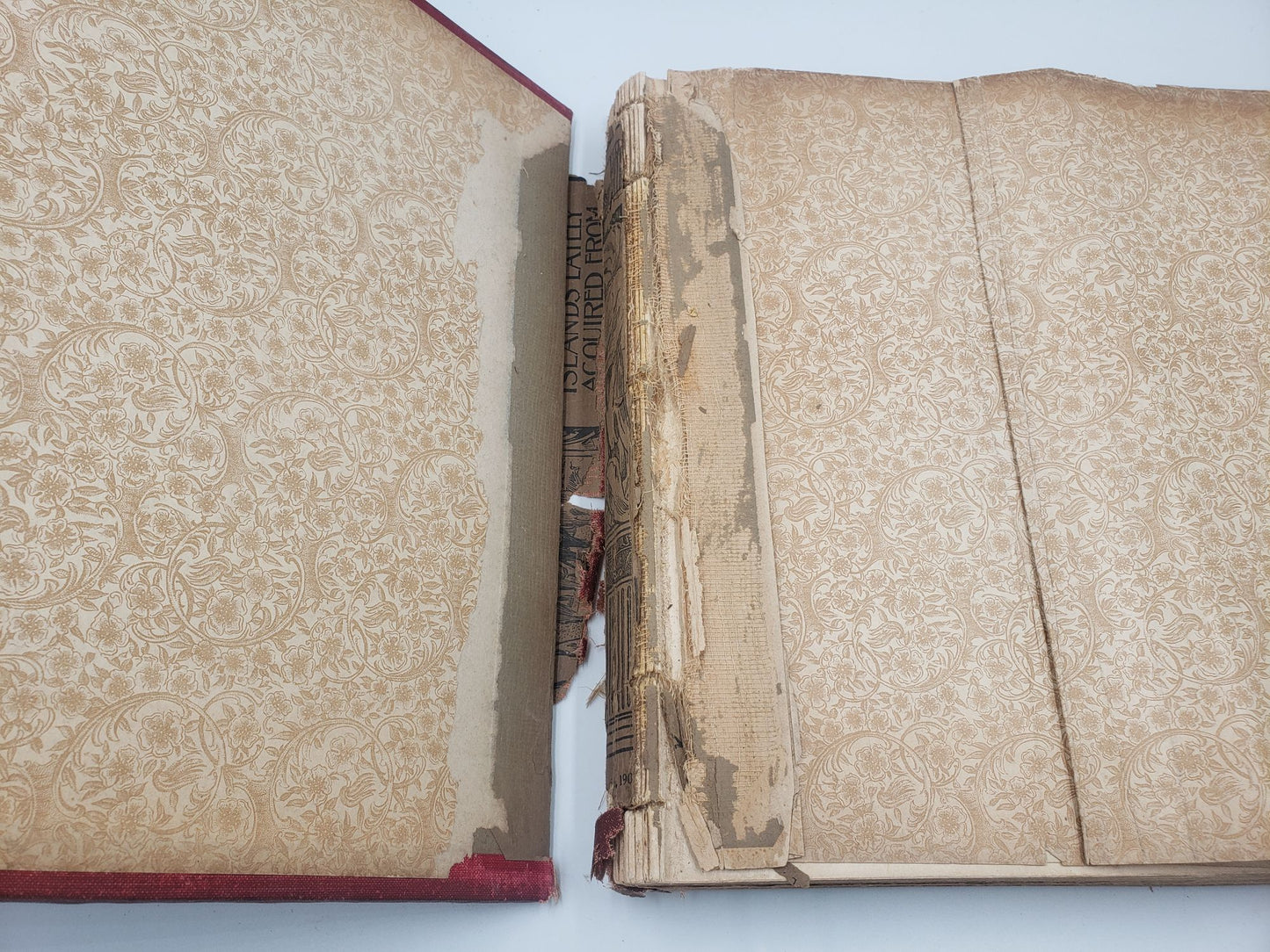 The World's Fair: Comprising The Official Photographic Views of the Universal Exposition Held In Saint Louis, 1904