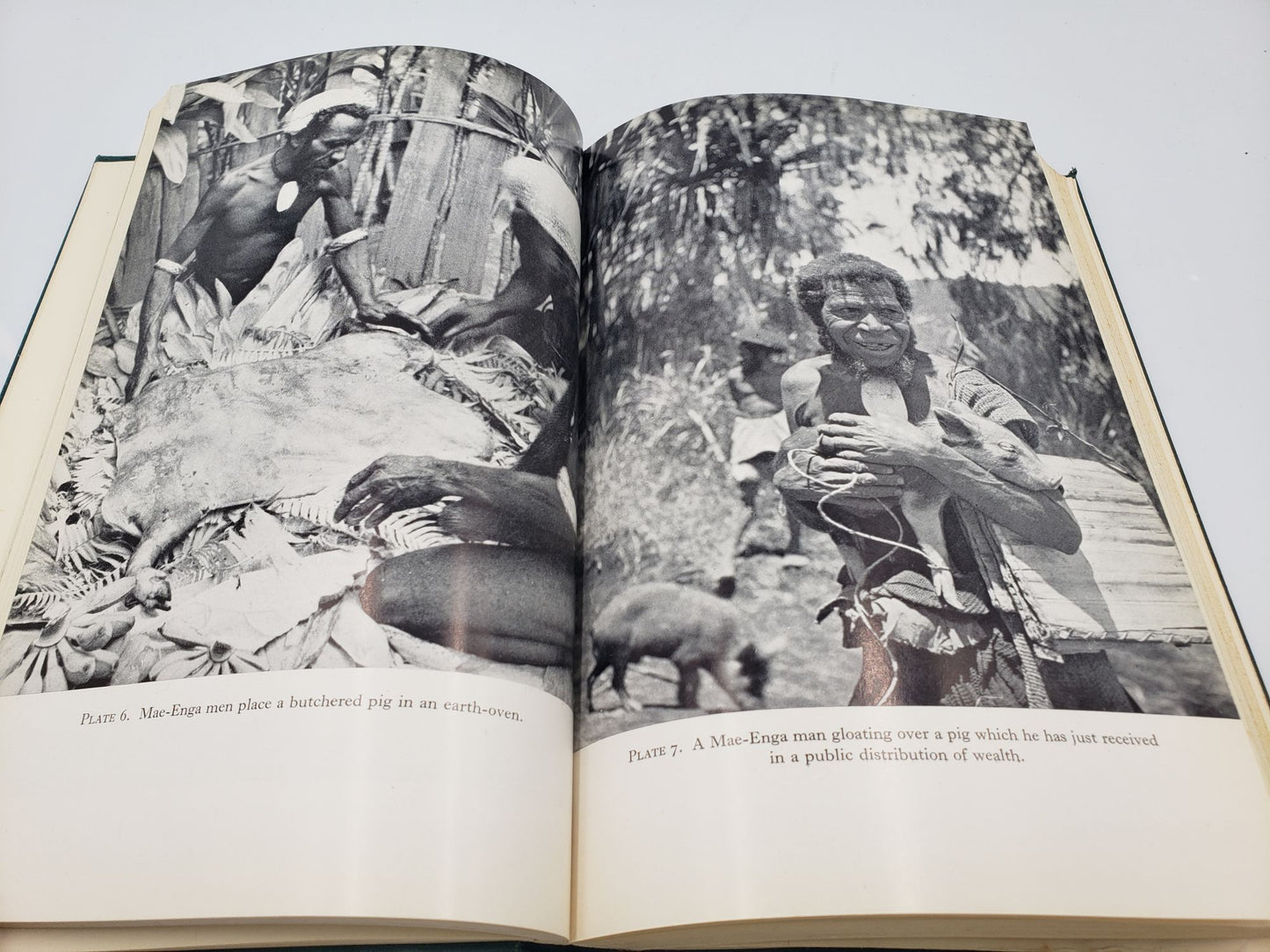 The Lineage System of the Mae-Enga of New Guinea