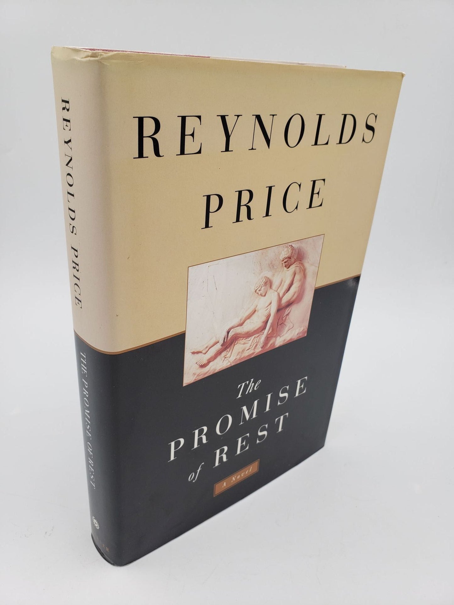 The Promise of Rest: A Novel