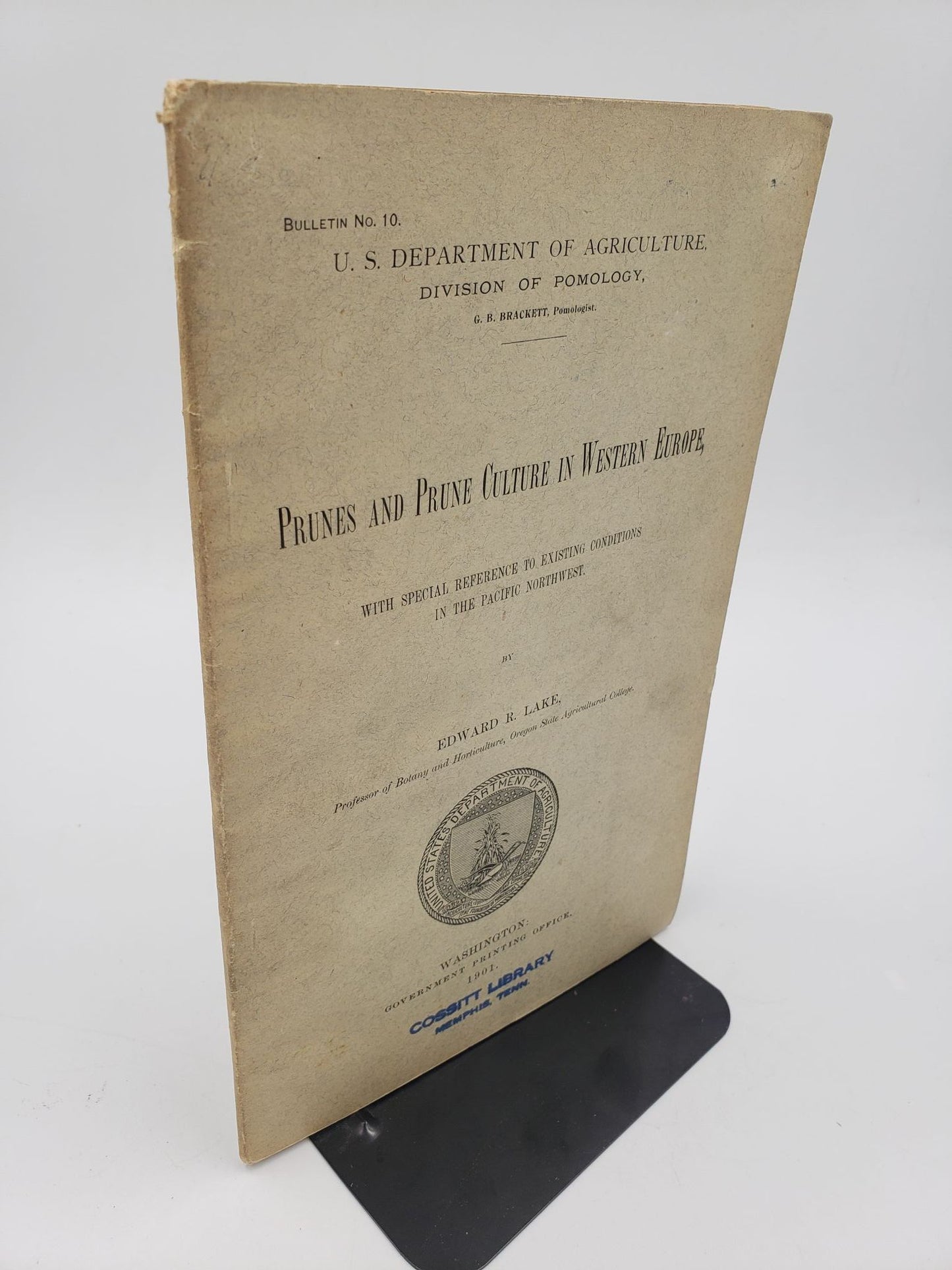 Prunes and Prune Culture in Western Europe