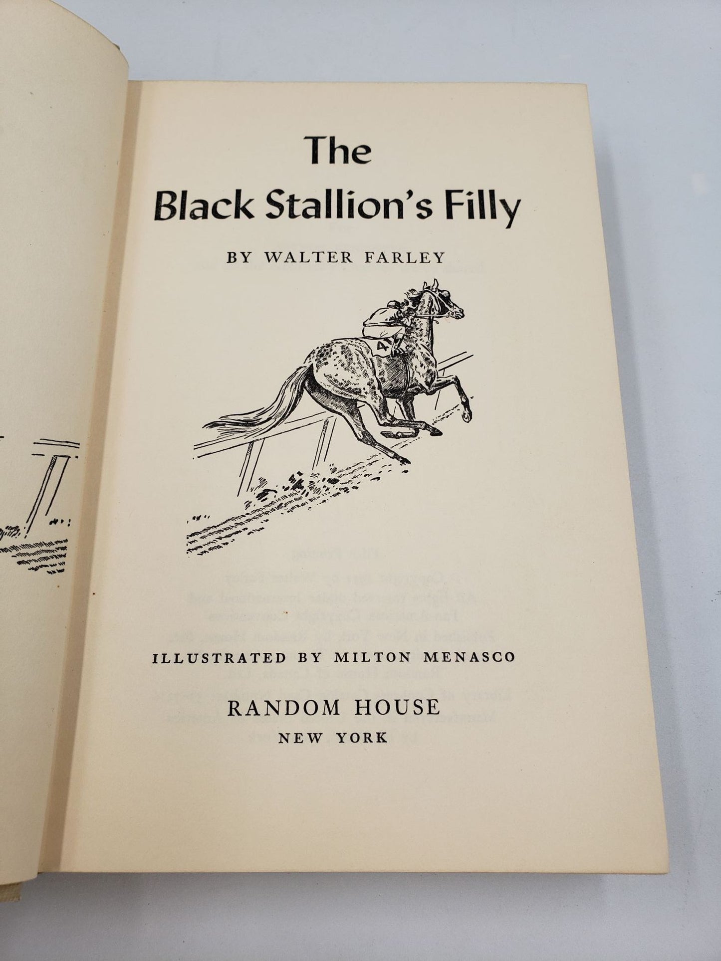 The Black Stallion's Filly