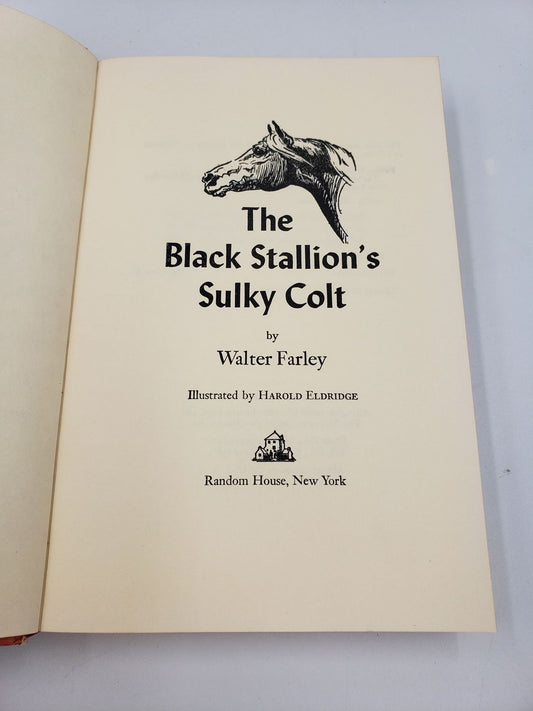 The Black Stallion's Sulky Colt