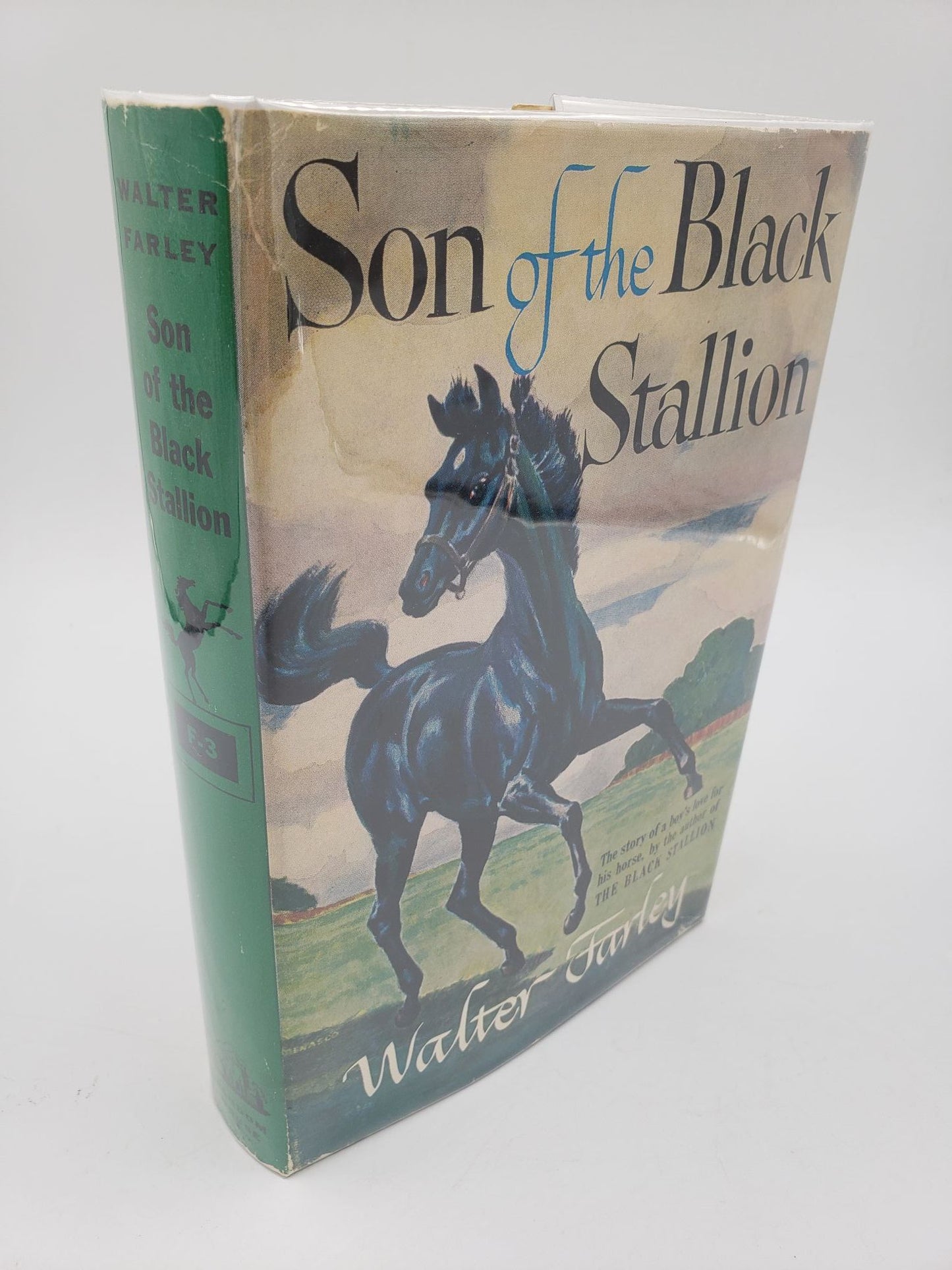 Son of the Black Stallion