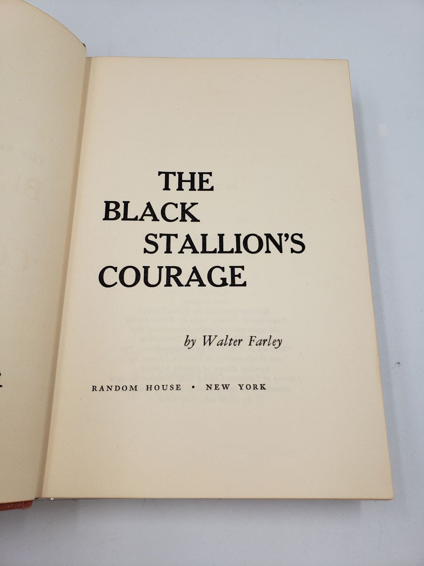 The Black Stallion's Courage