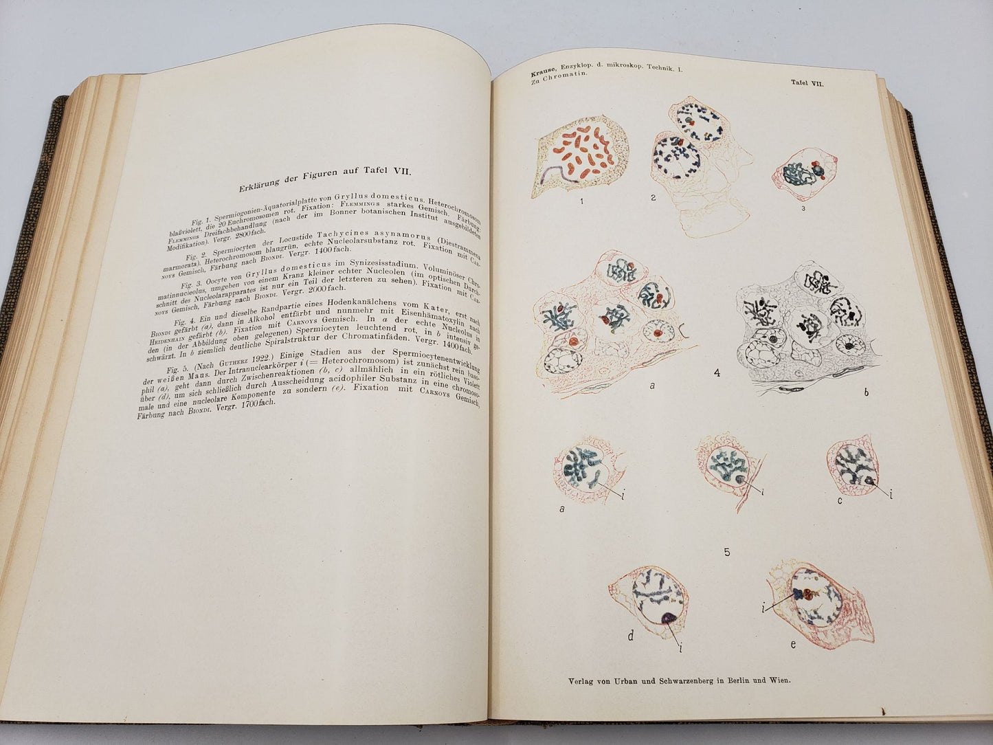 Enzyklopädie der Mikroskopischen Technik (3 Volume Set)