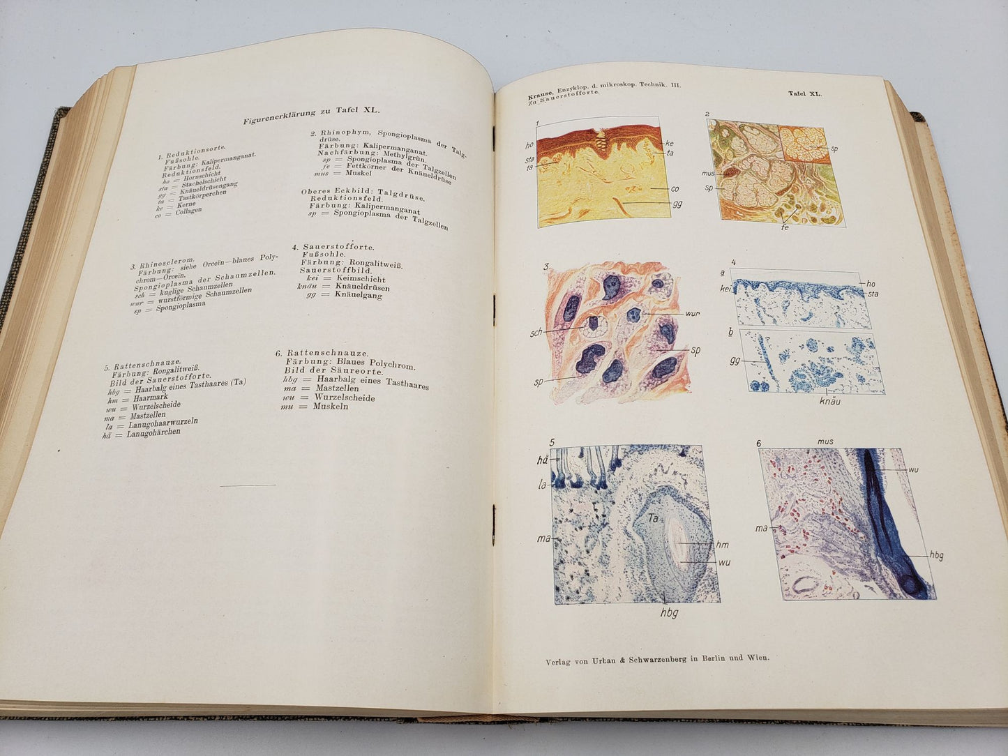 Enzyklopädie der Mikroskopischen Technik (3 Volume Set)