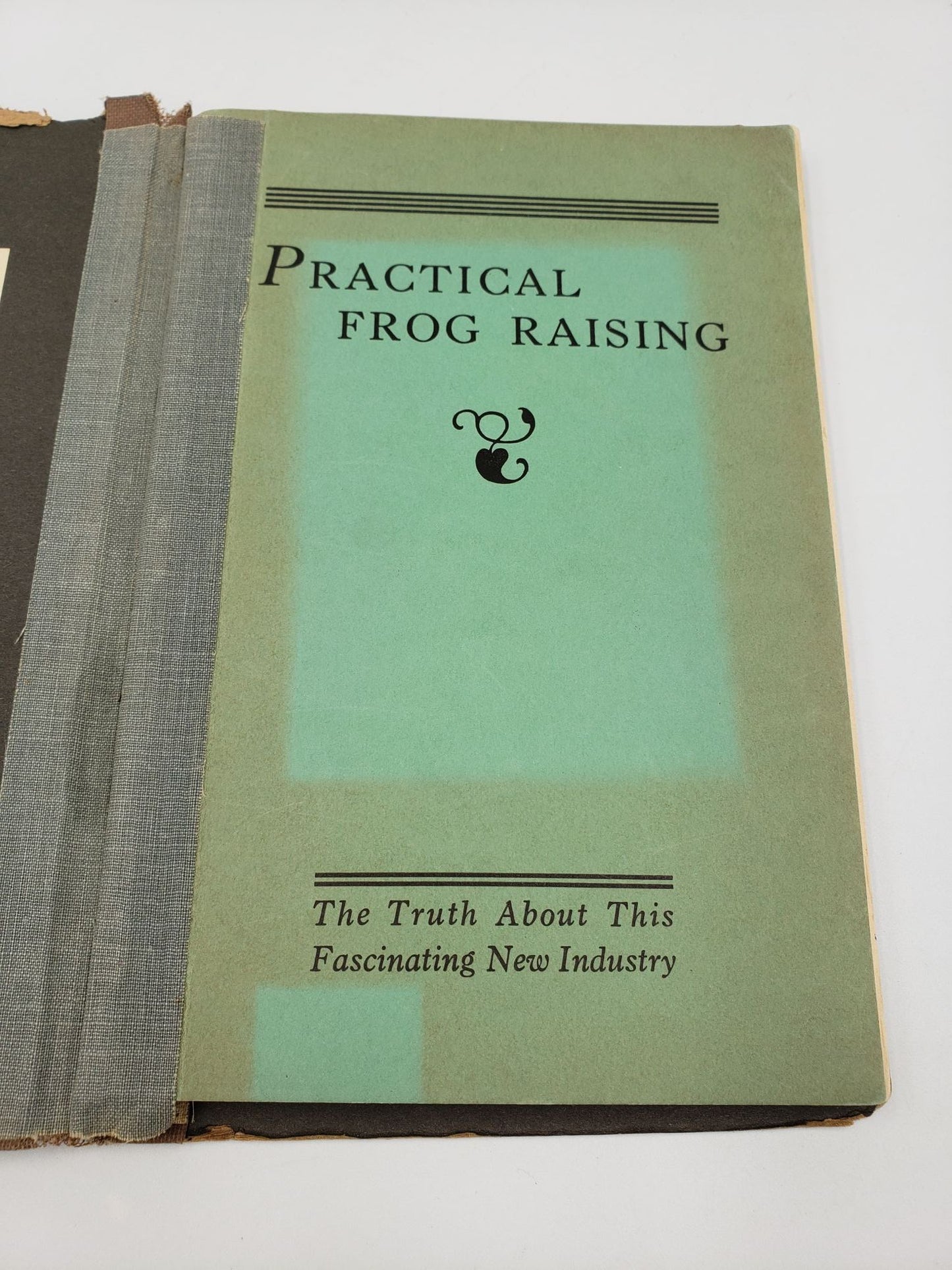 Practical Frog Raising