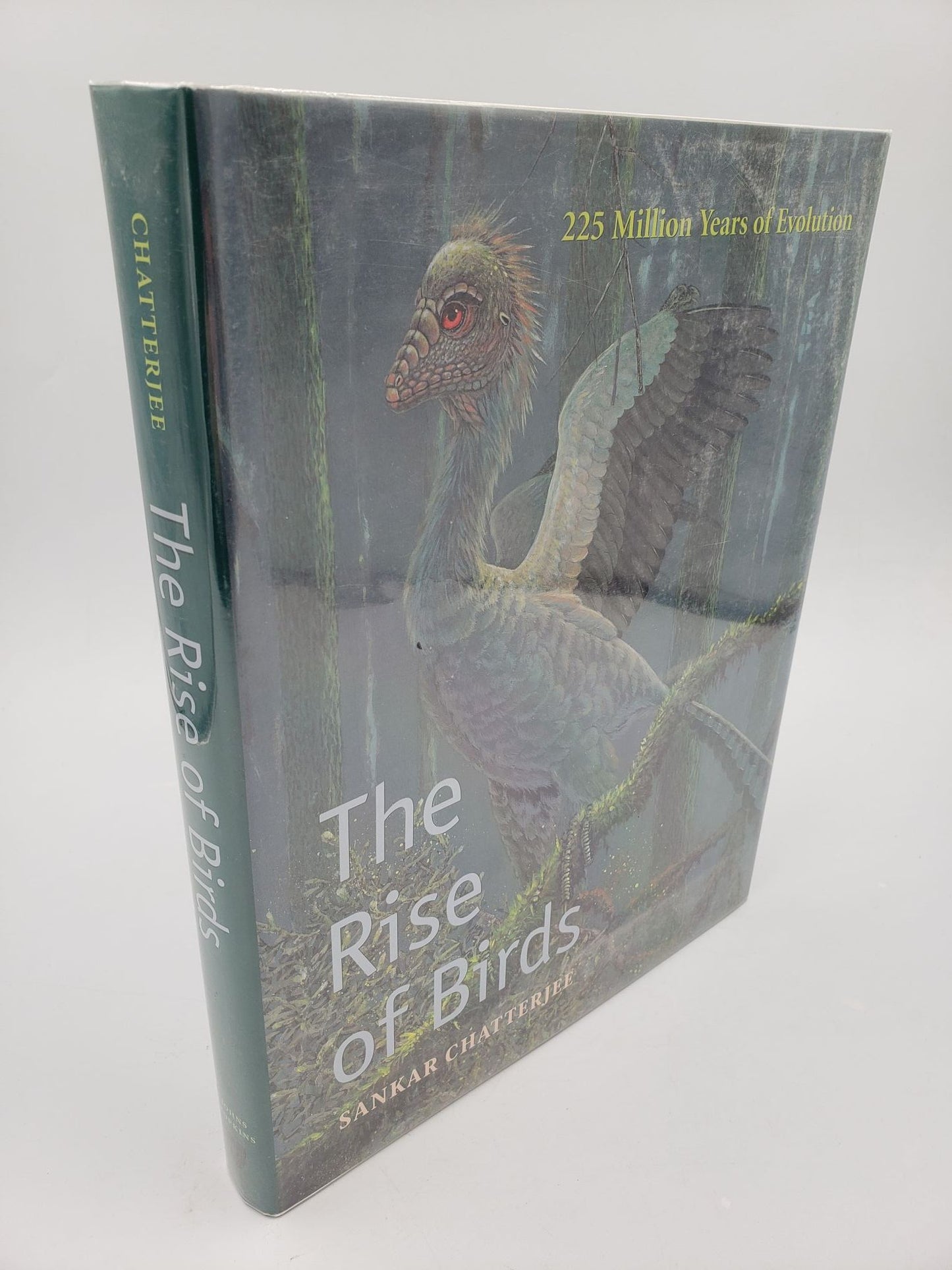 The Rise of Birds: 225 Million Years of Evolution