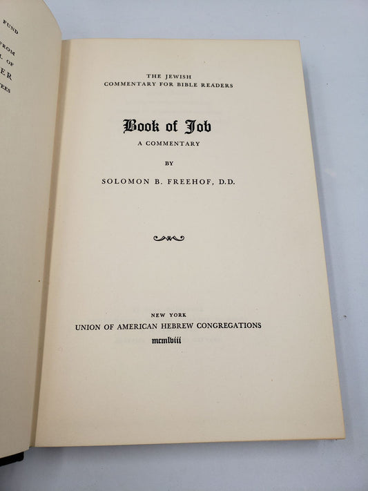 The Book of Job: A Commentary