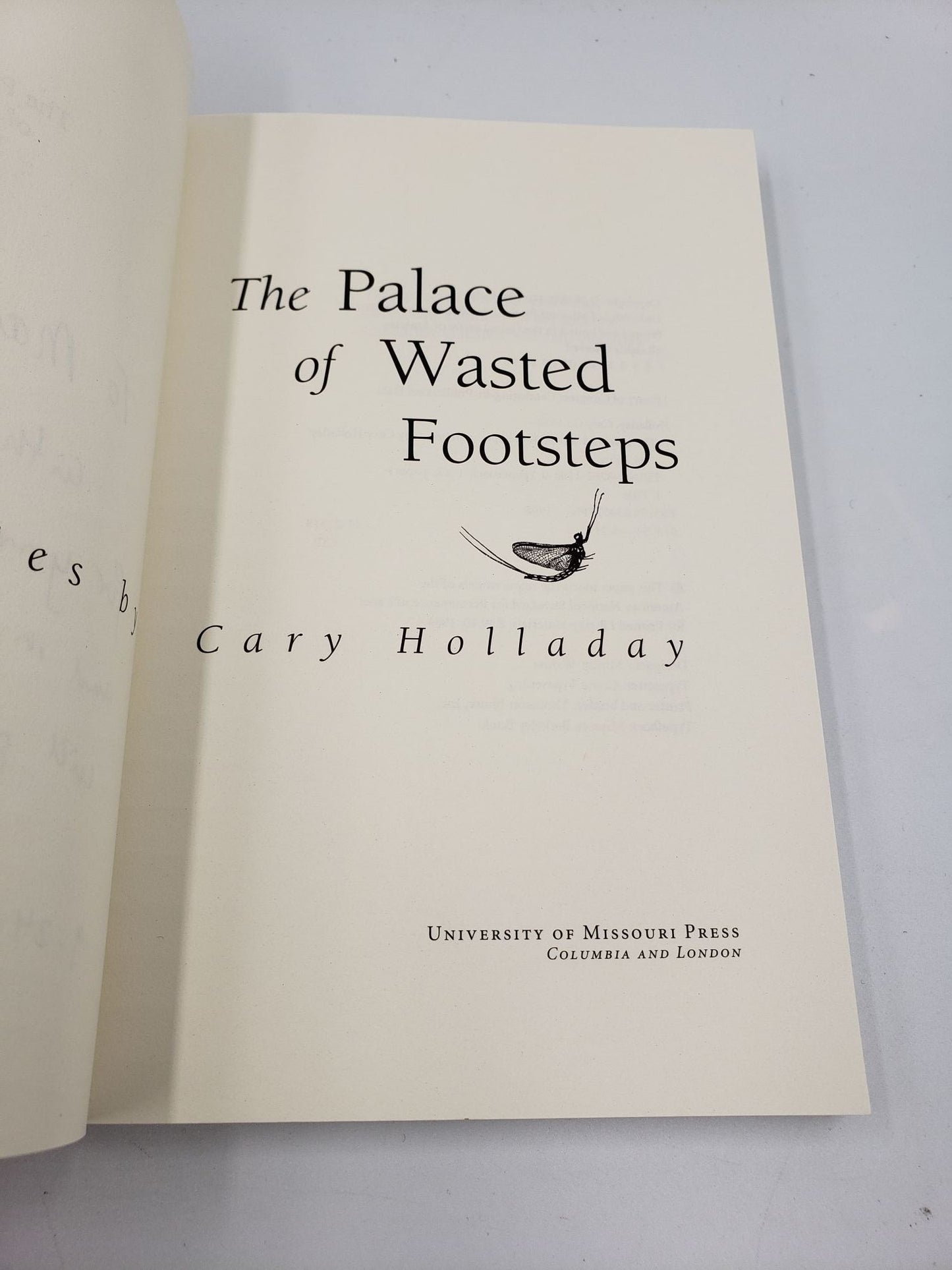 The Palace of Wasted Footsteps