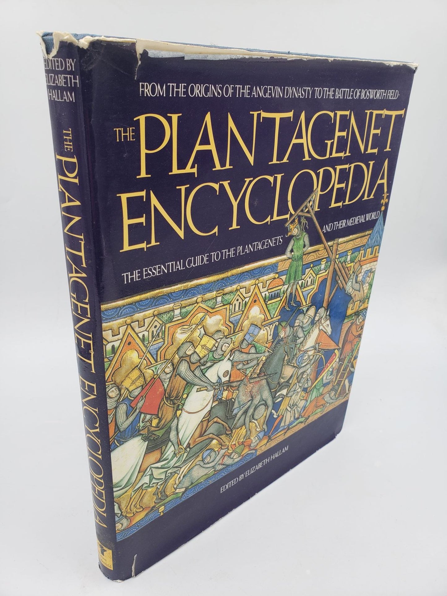 The Plantagenet Encyclopedia: The Essential Guide To The Planagenets and Their Medieval World