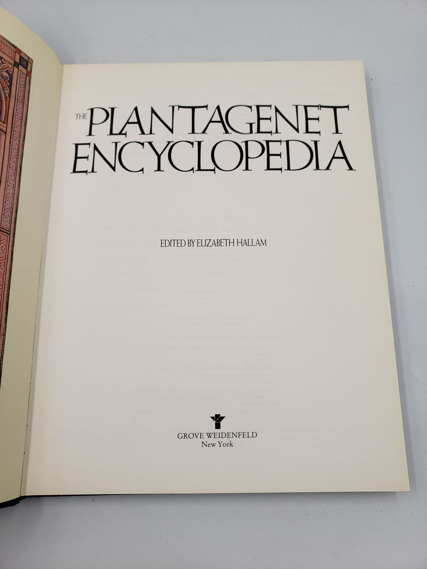 The Plantagenet Encyclopedia: The Essential Guide To The Planagenets and Their Medieval World