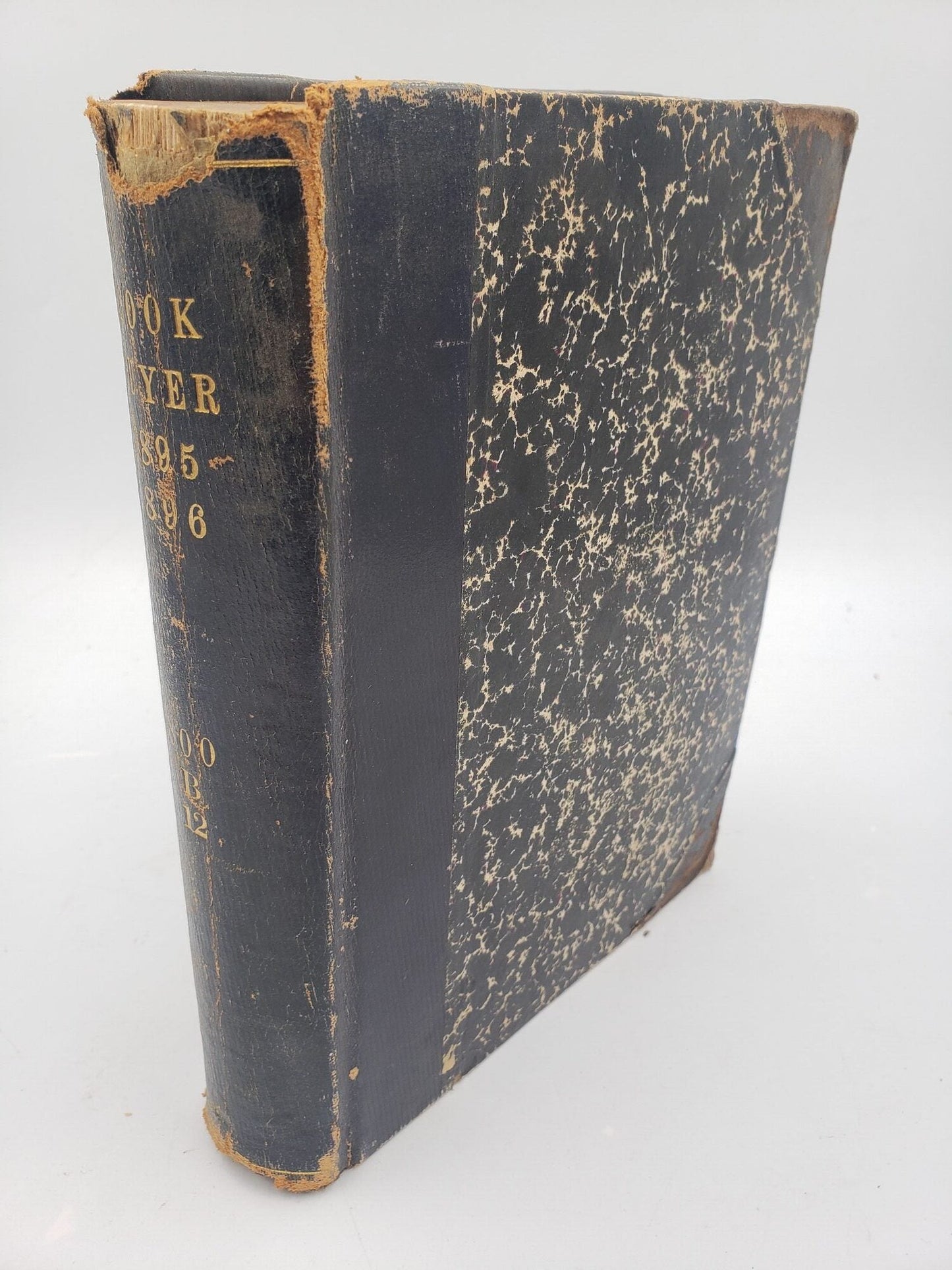 The Book Buyer: February 1895-January 1896 (Volume 12)