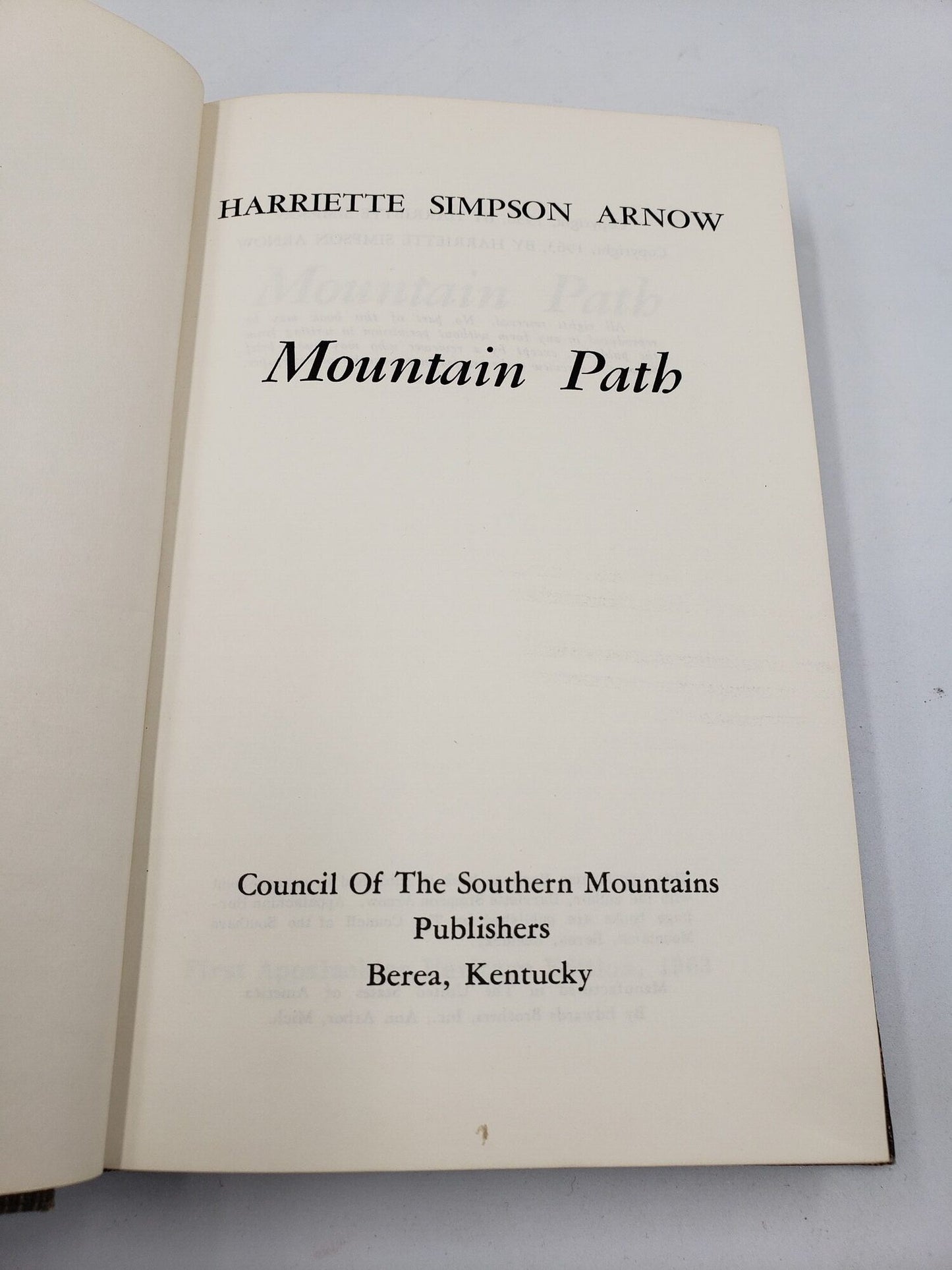 Mountain Path
