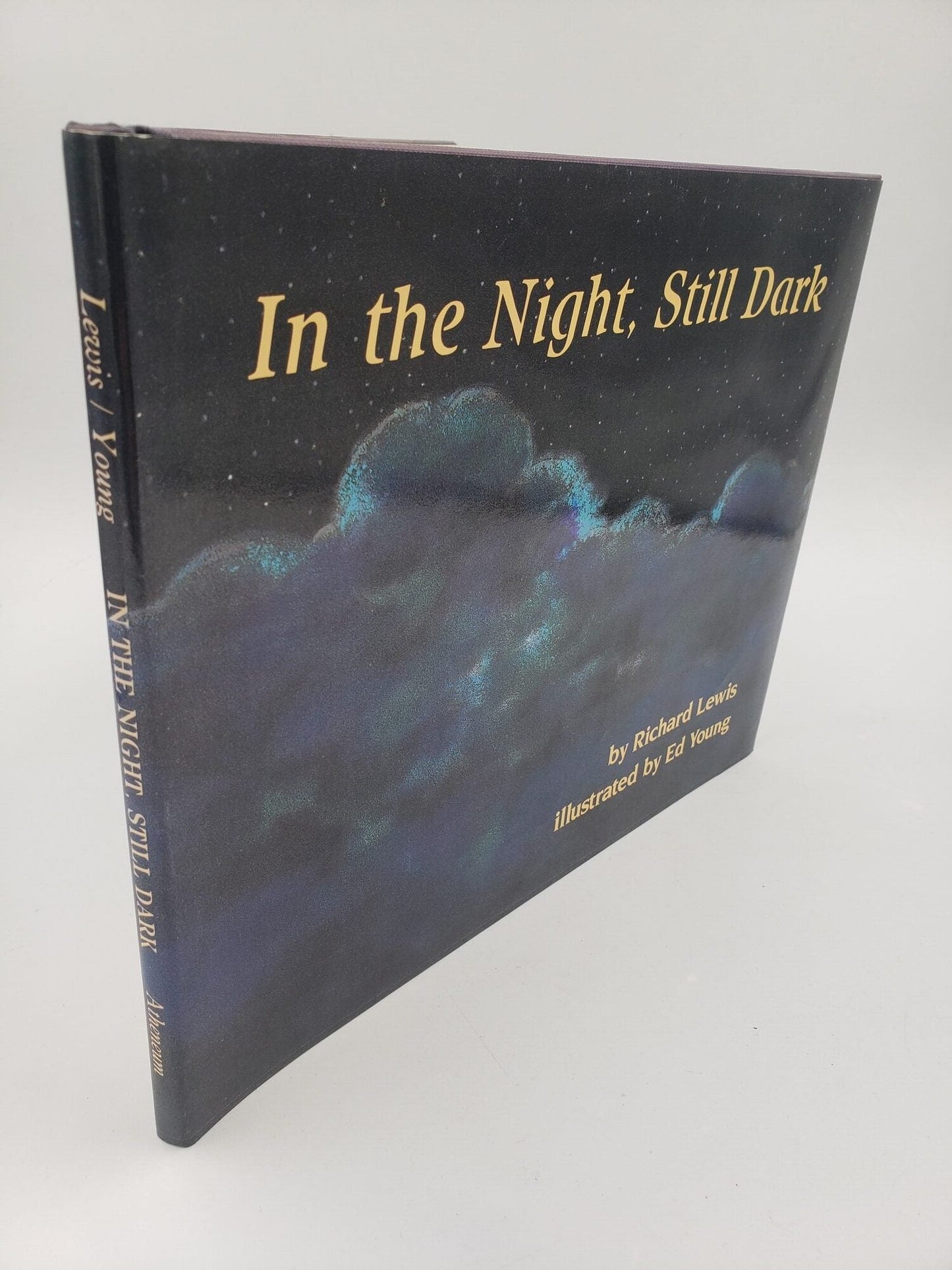 In the Night, Still Dark