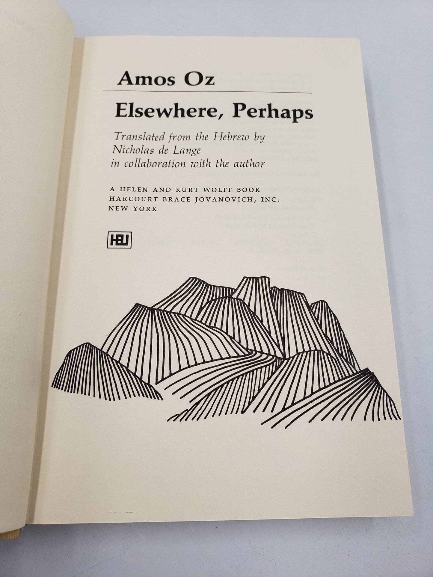 Elsewhere, Perhaps: A Novel
