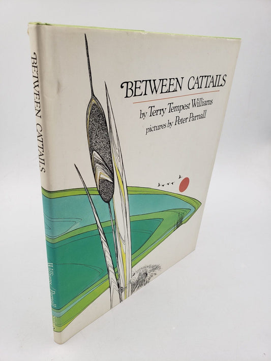 Between Cattails