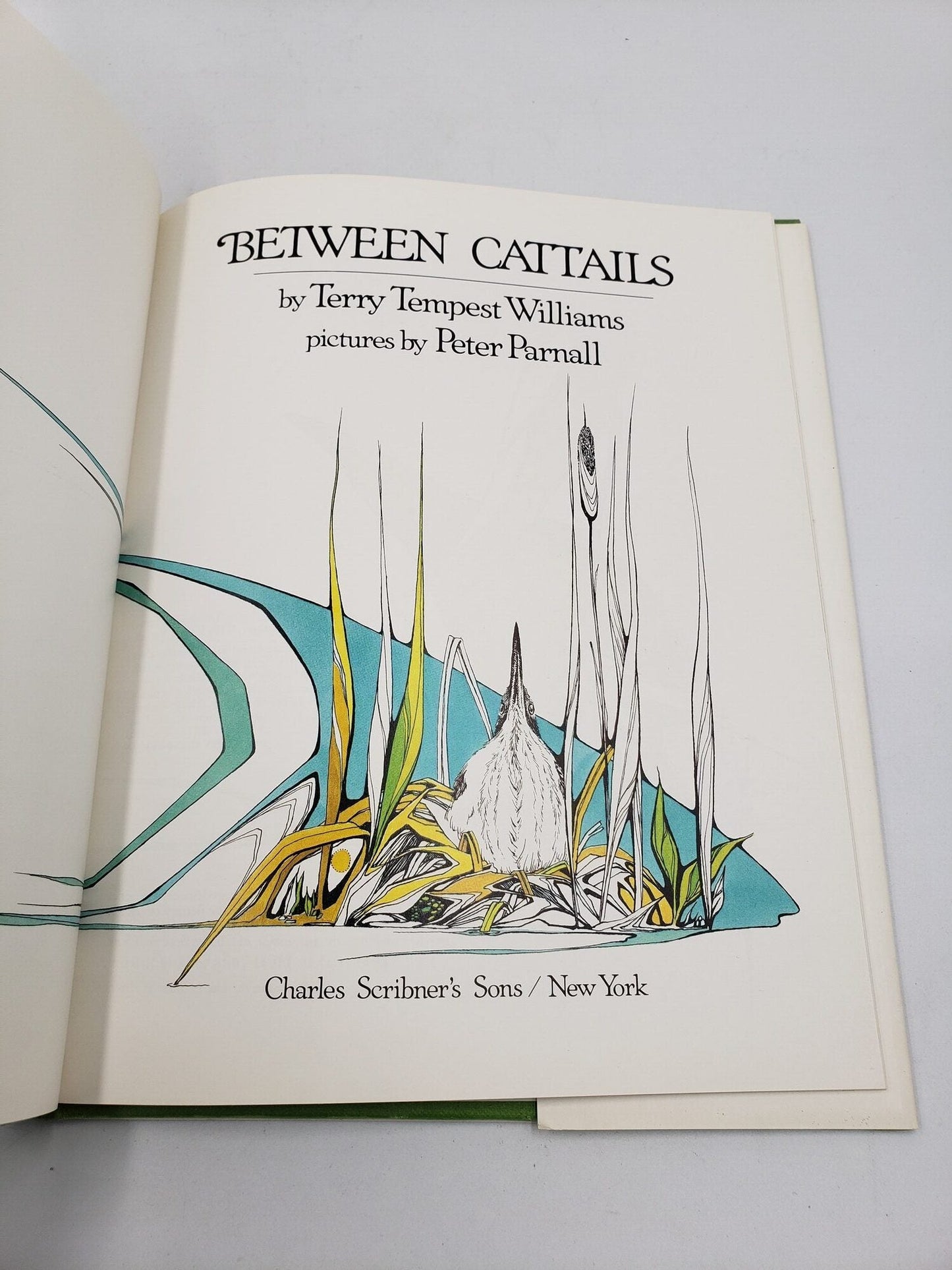 Between Cattails