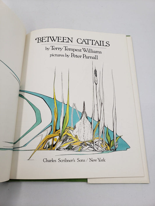 Between Cattails