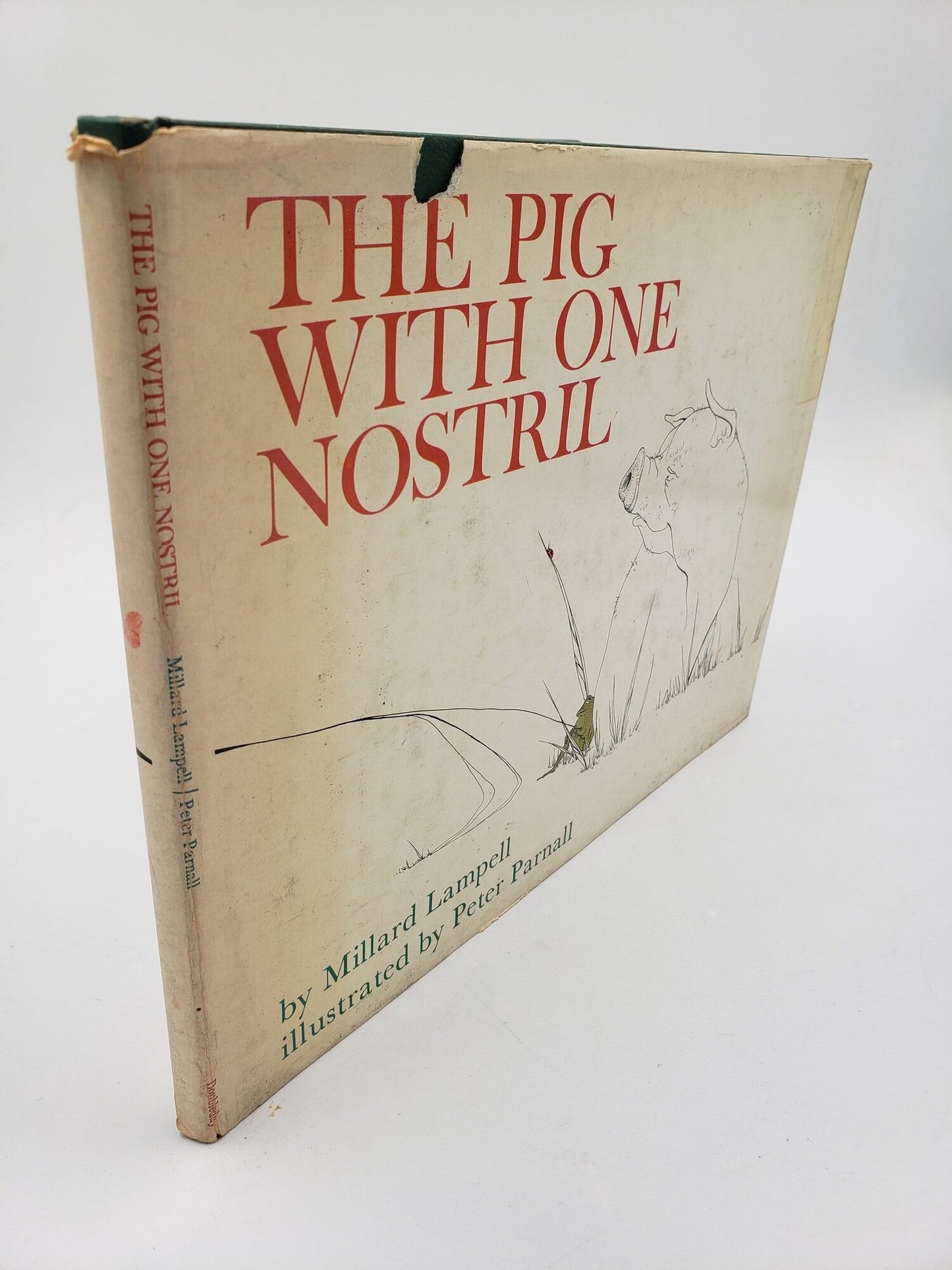 The Pig With One Nostril