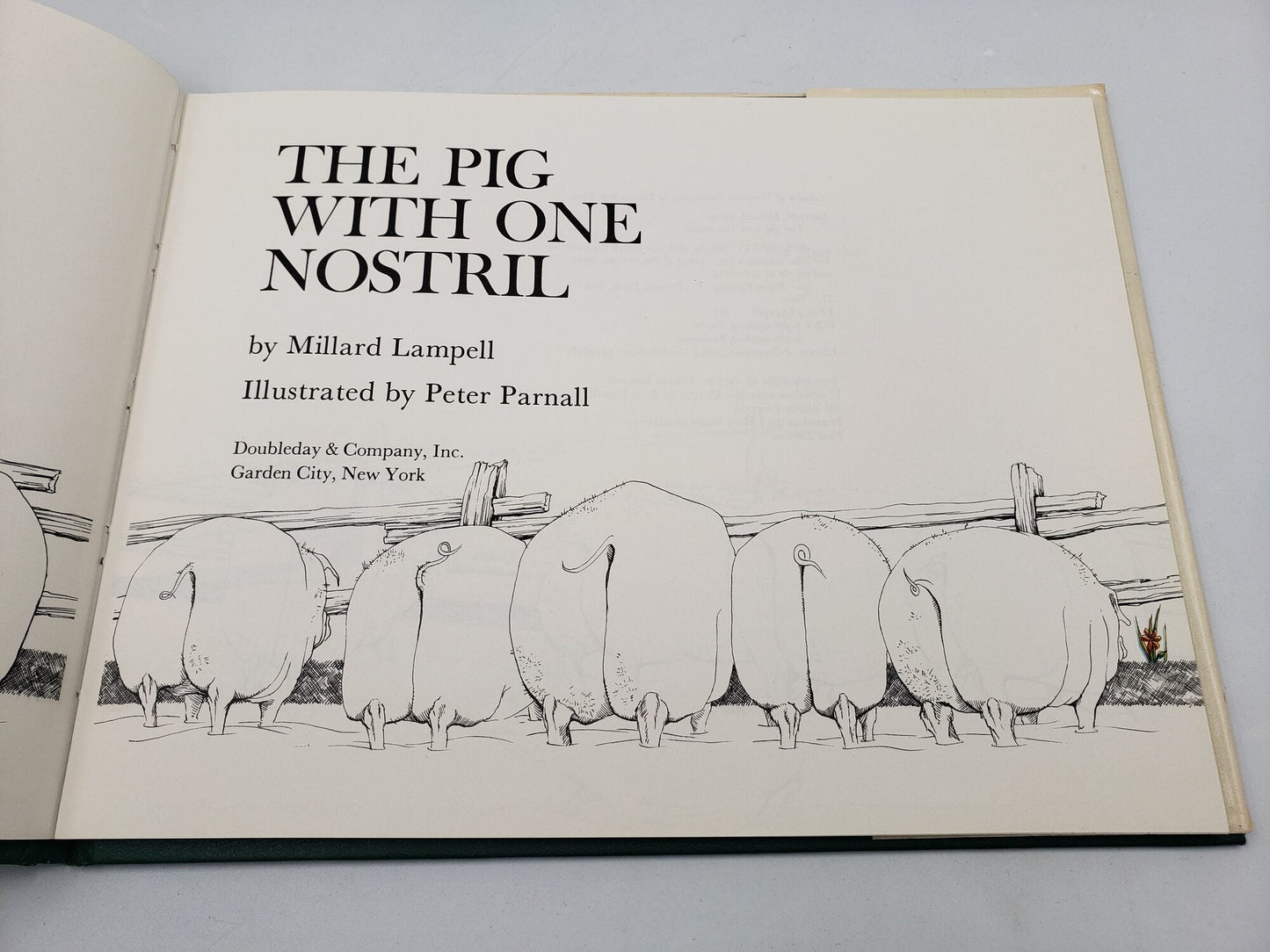 The Pig With One Nostril