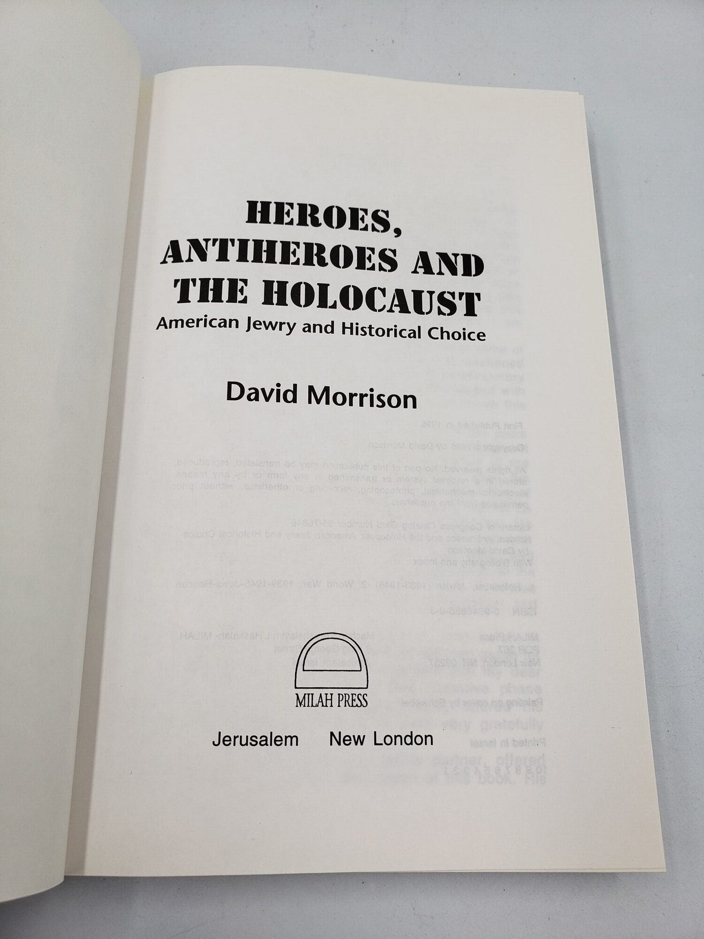 Heroes, Antiheroes and The Holocaust: American Jewry and Historical Choice (Review Copy)