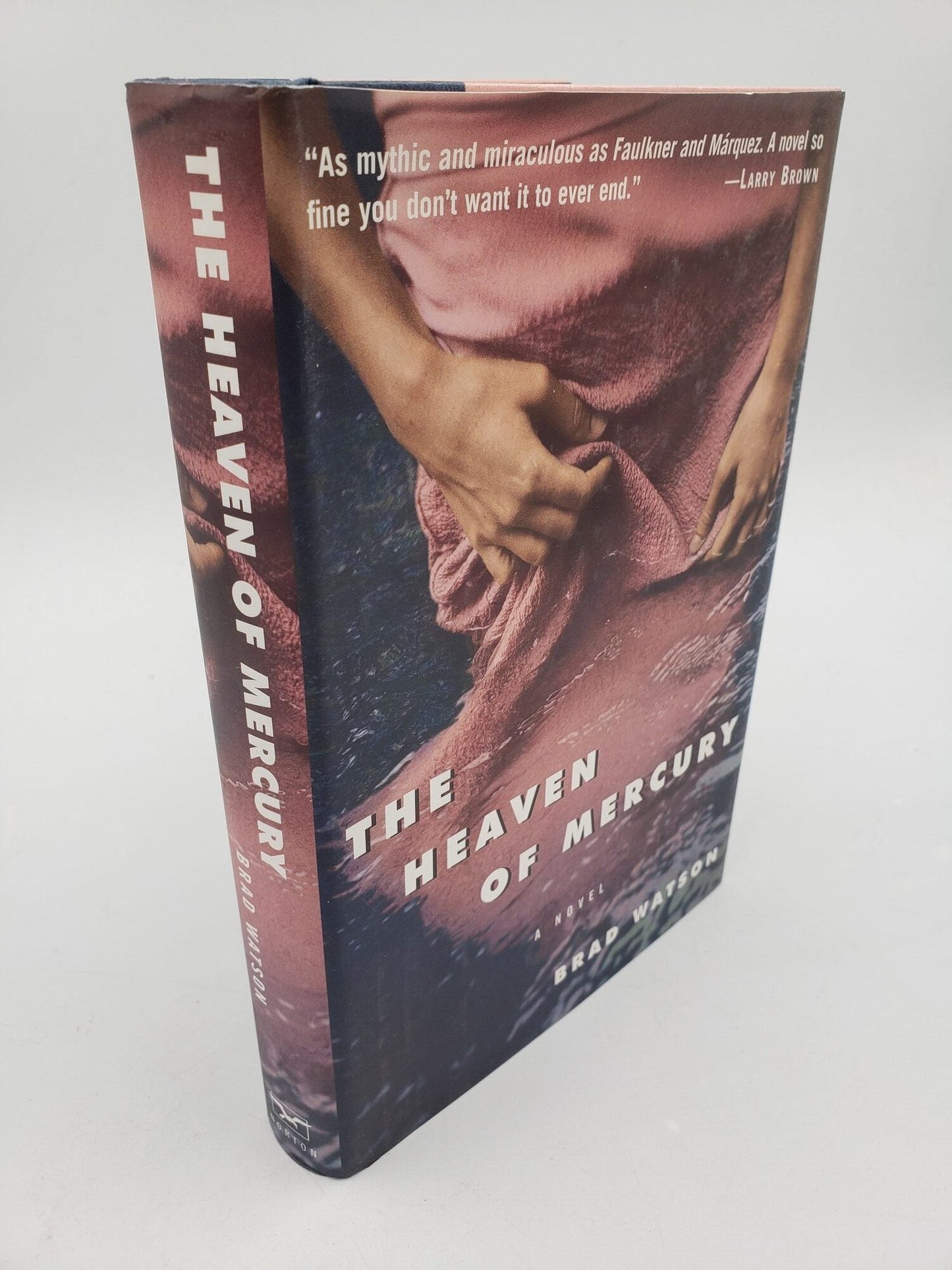 The Heaven Of Mercury: A Novel
