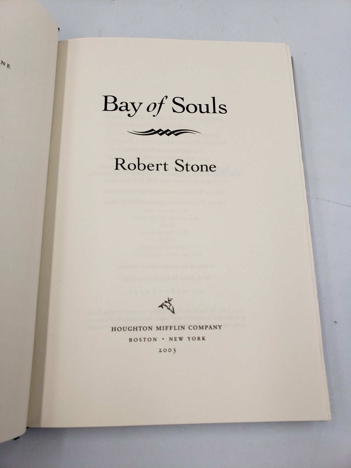 Bay Of Souls: A Novel