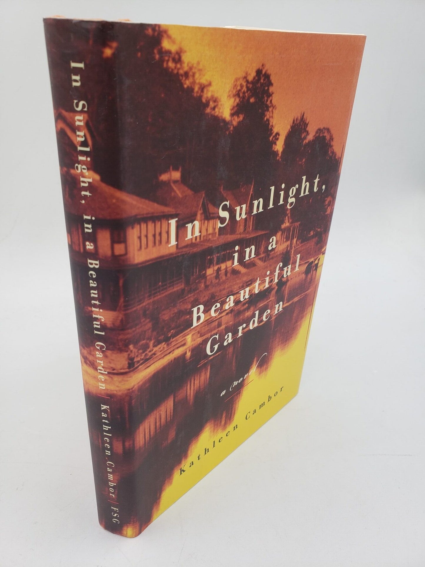 In Sunlight, in a Beautiful Garden: A Novel