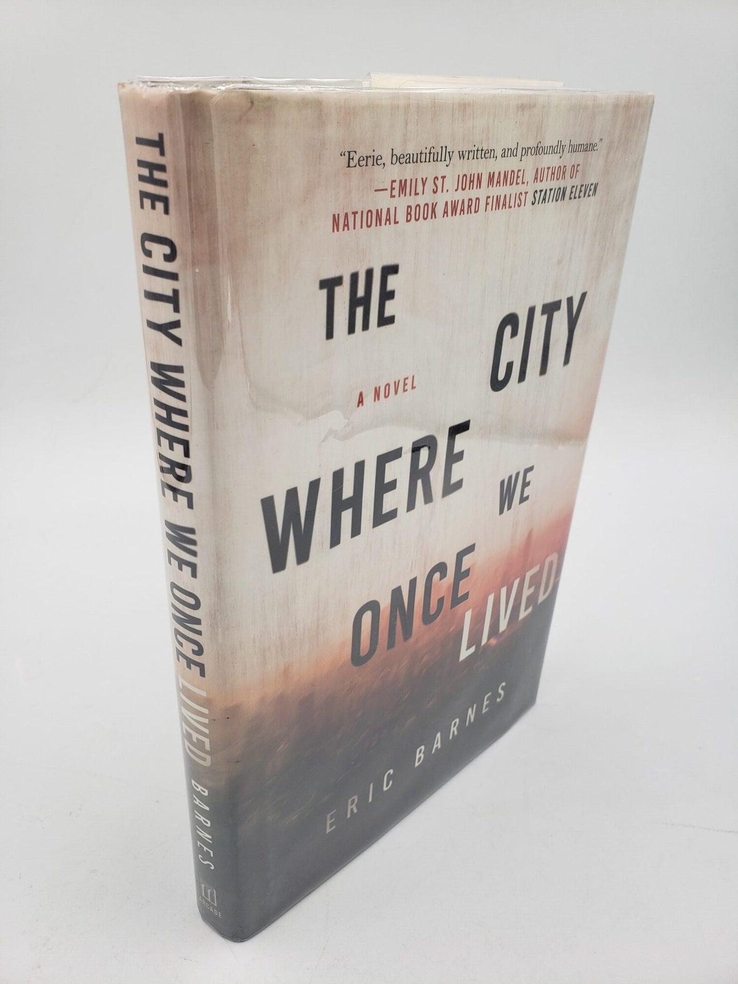 The City Where We Once Lived: A Novel