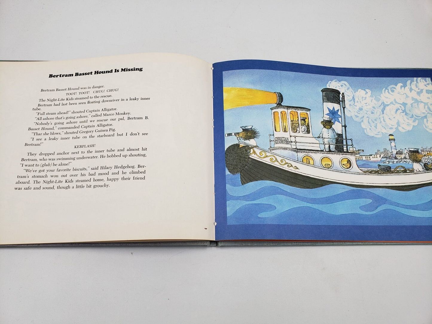 Night-Lite Storybook