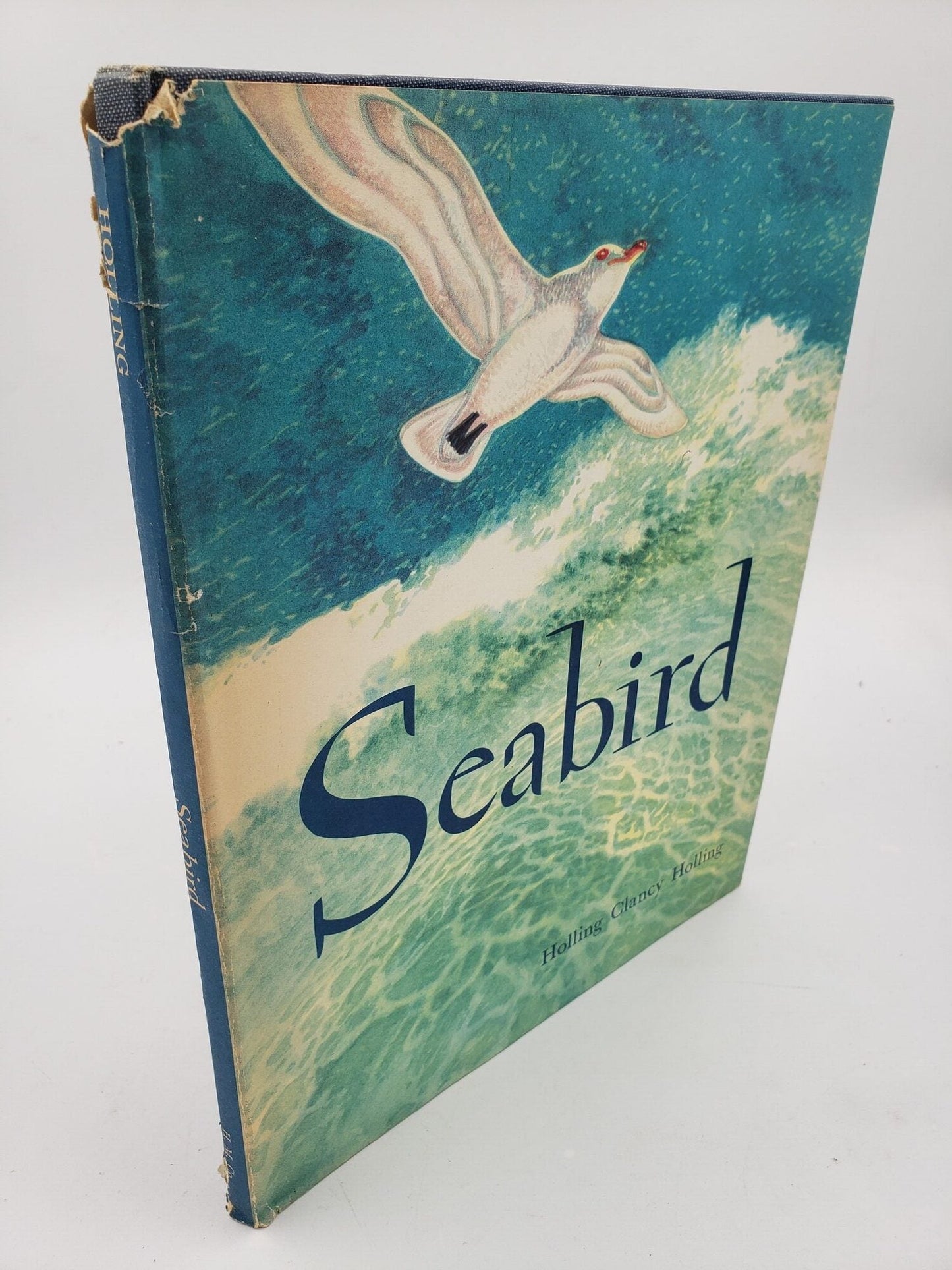 Seabird