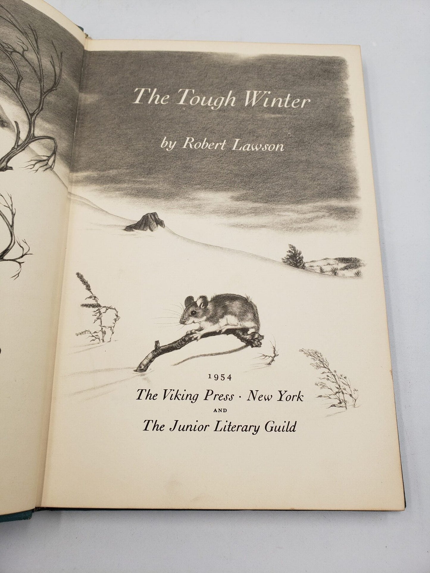 The Tough Winter