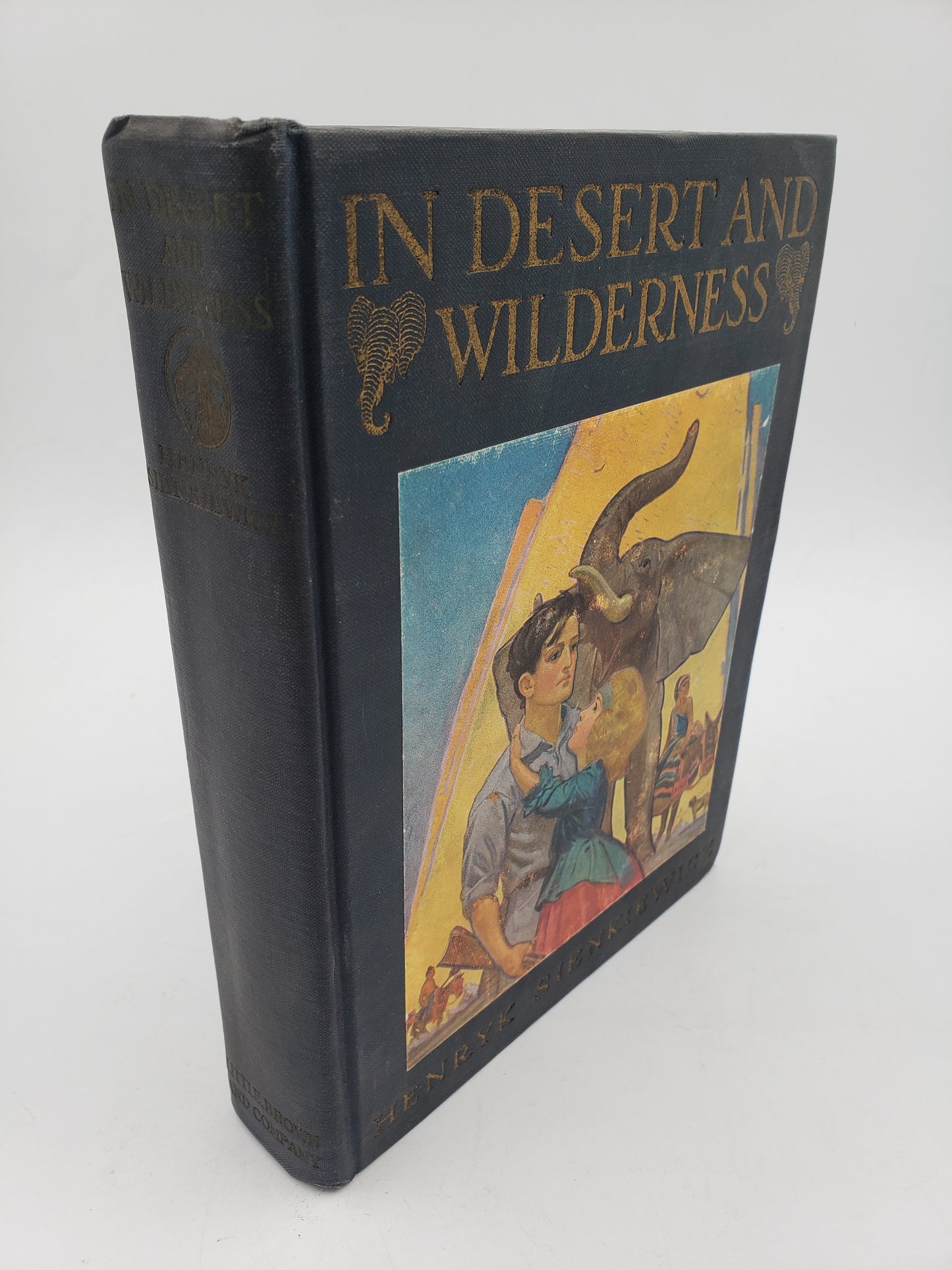 In Desert And Wilderness