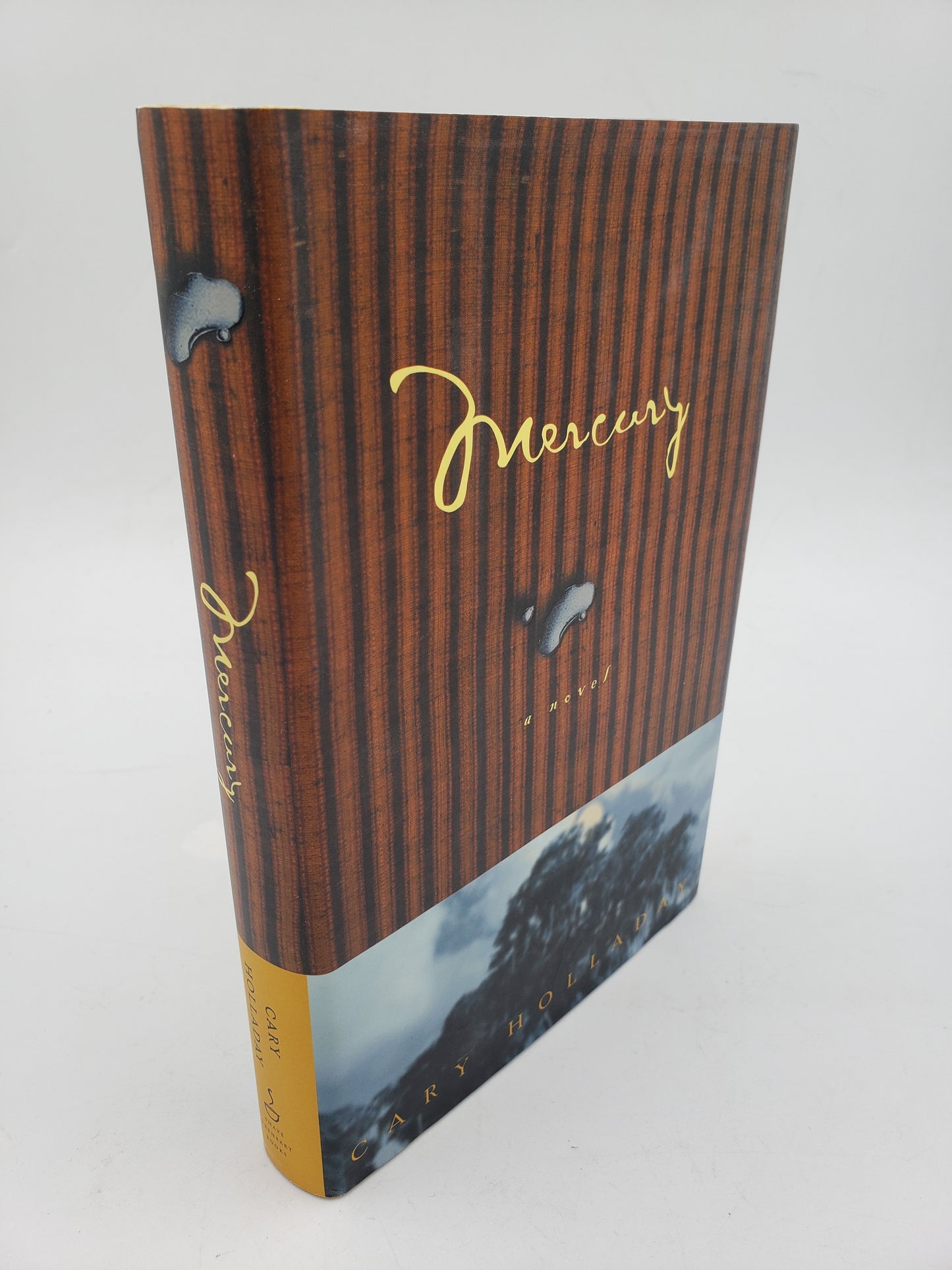 Mercury: A Novel