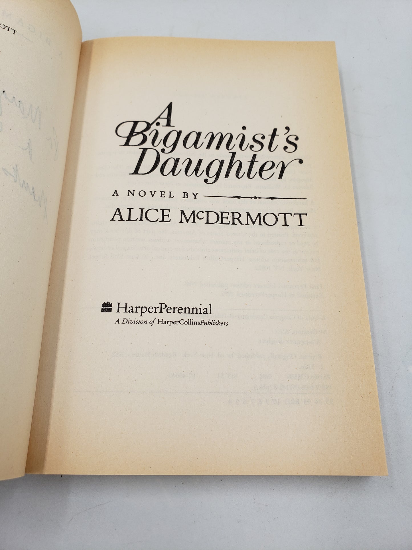 A Bigamist's Daughter: A Novel