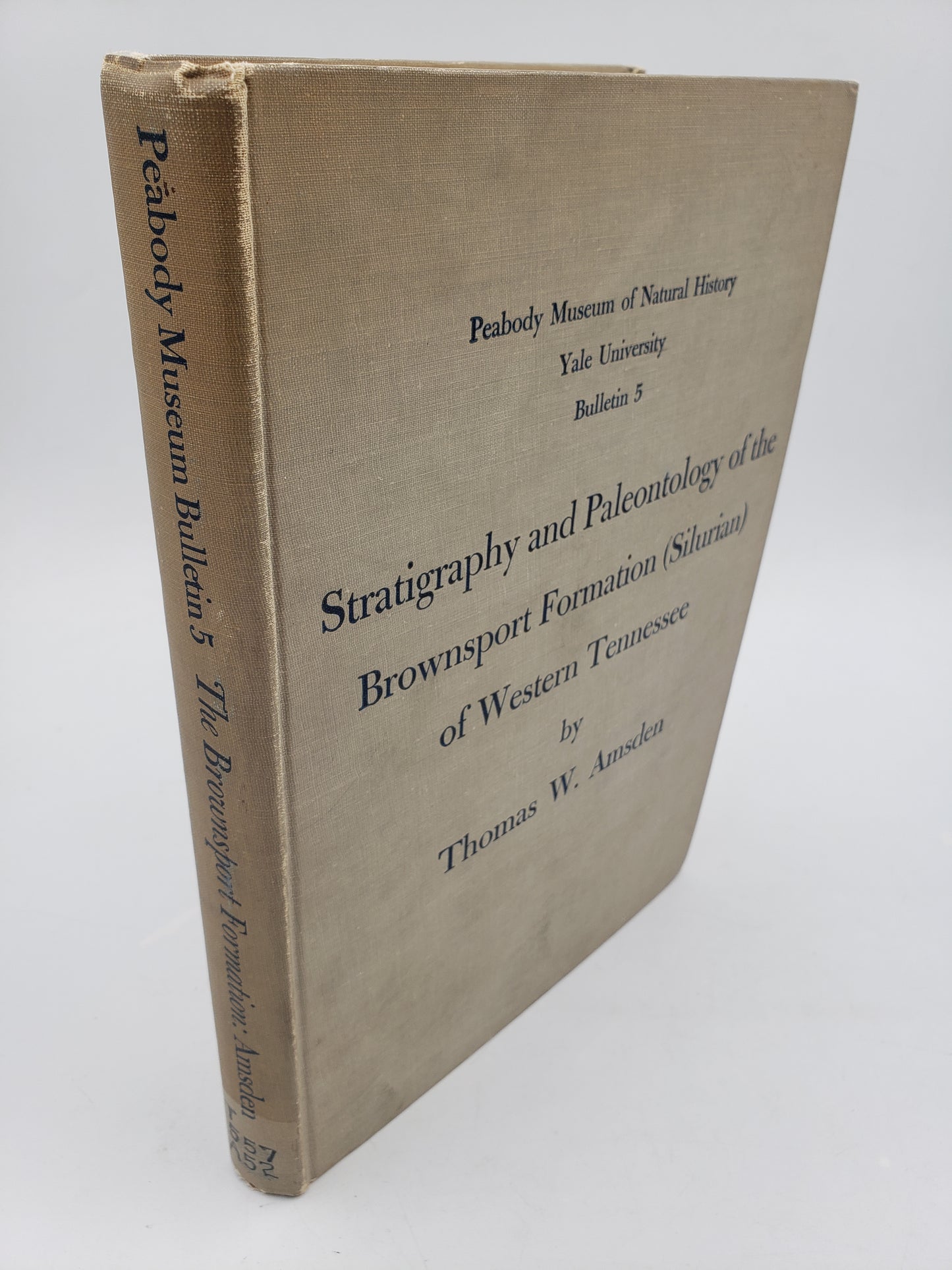 Stratigraphy and Paleontology of the Brownsport Formation (Silurian) of Western Tennessee