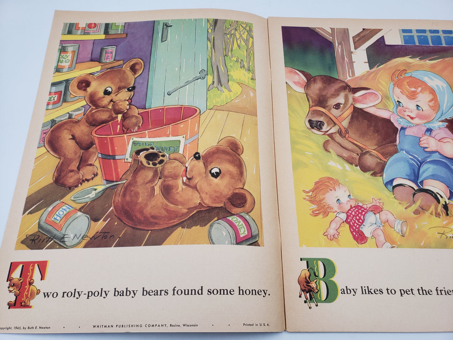 Baby Animals
