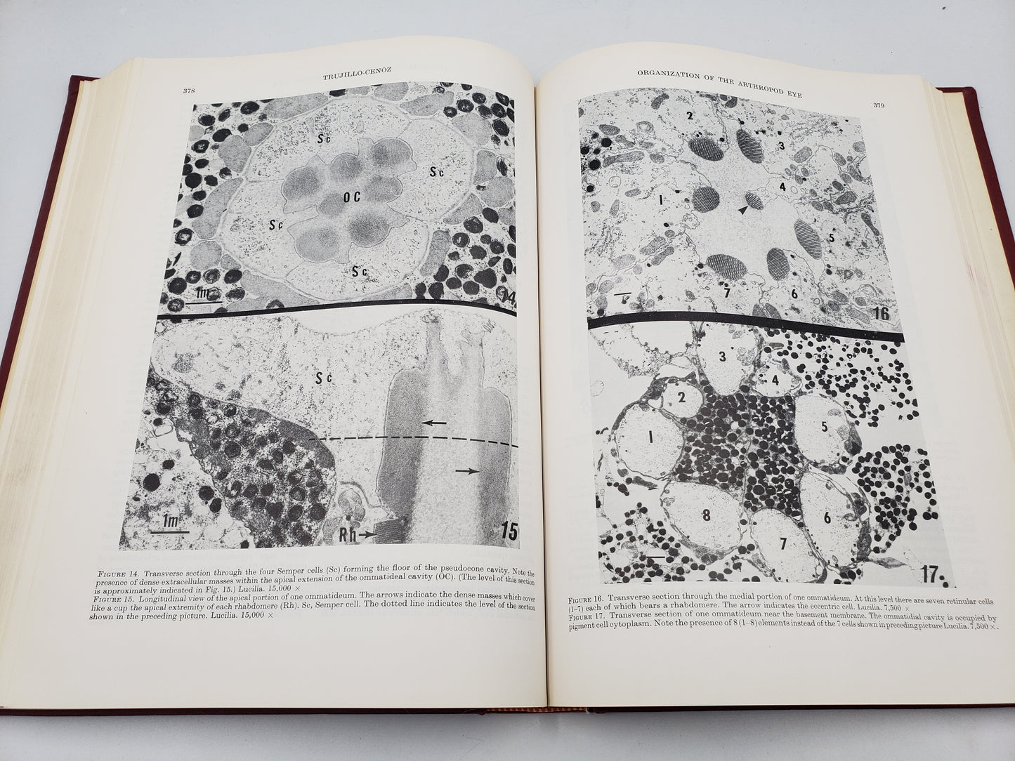 Cold Spring Harbor Symposia On Quantitative Biology: Sensory Receptors (Volume 30)