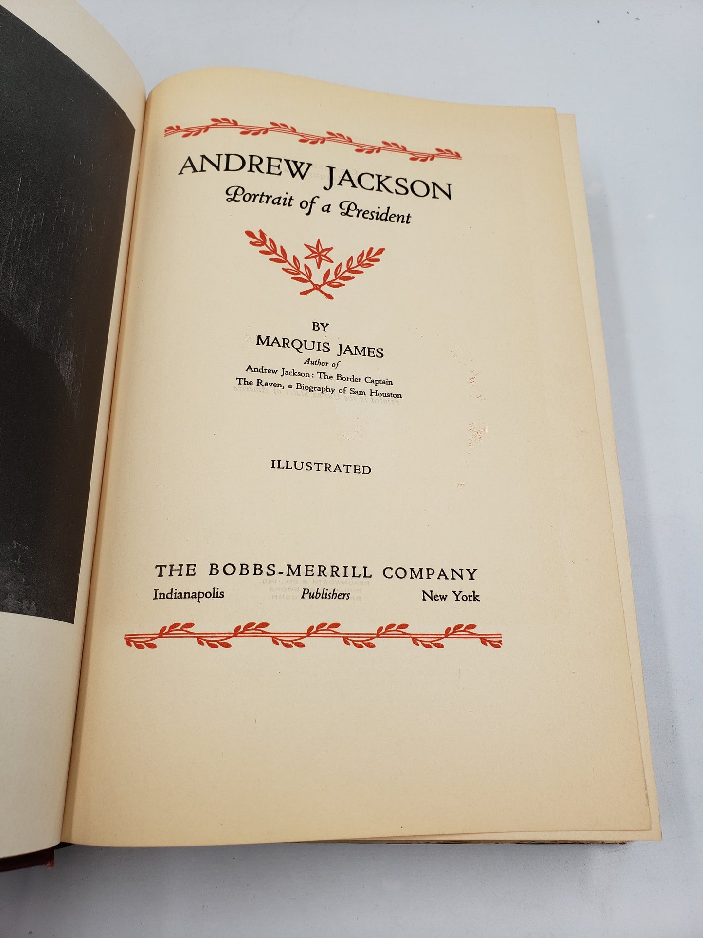 Andrew Jackson: Portrait of a President