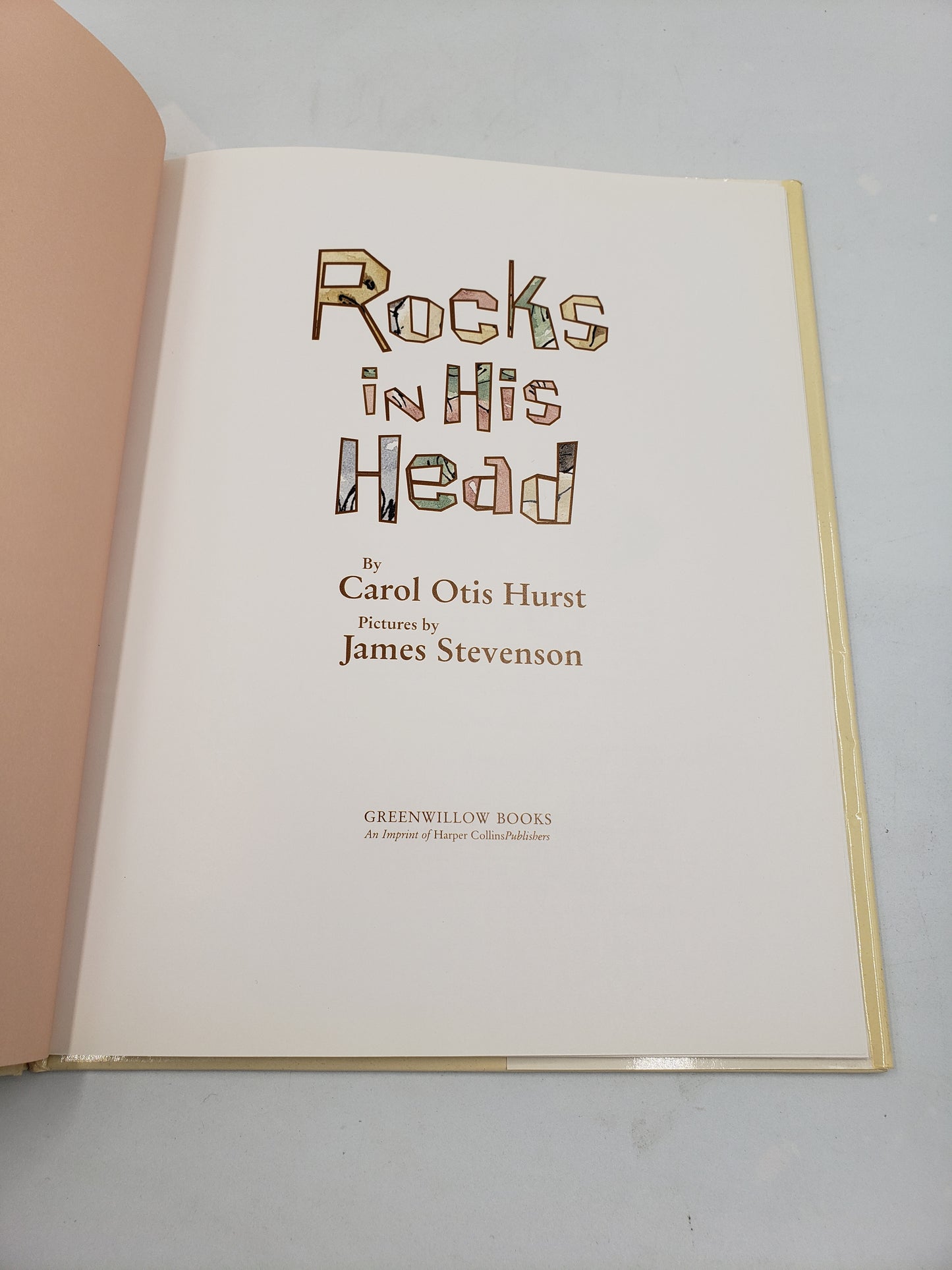 Rocks in His Head
