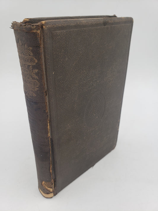 A Text-Book of Geology: Designed For Schools And Academies