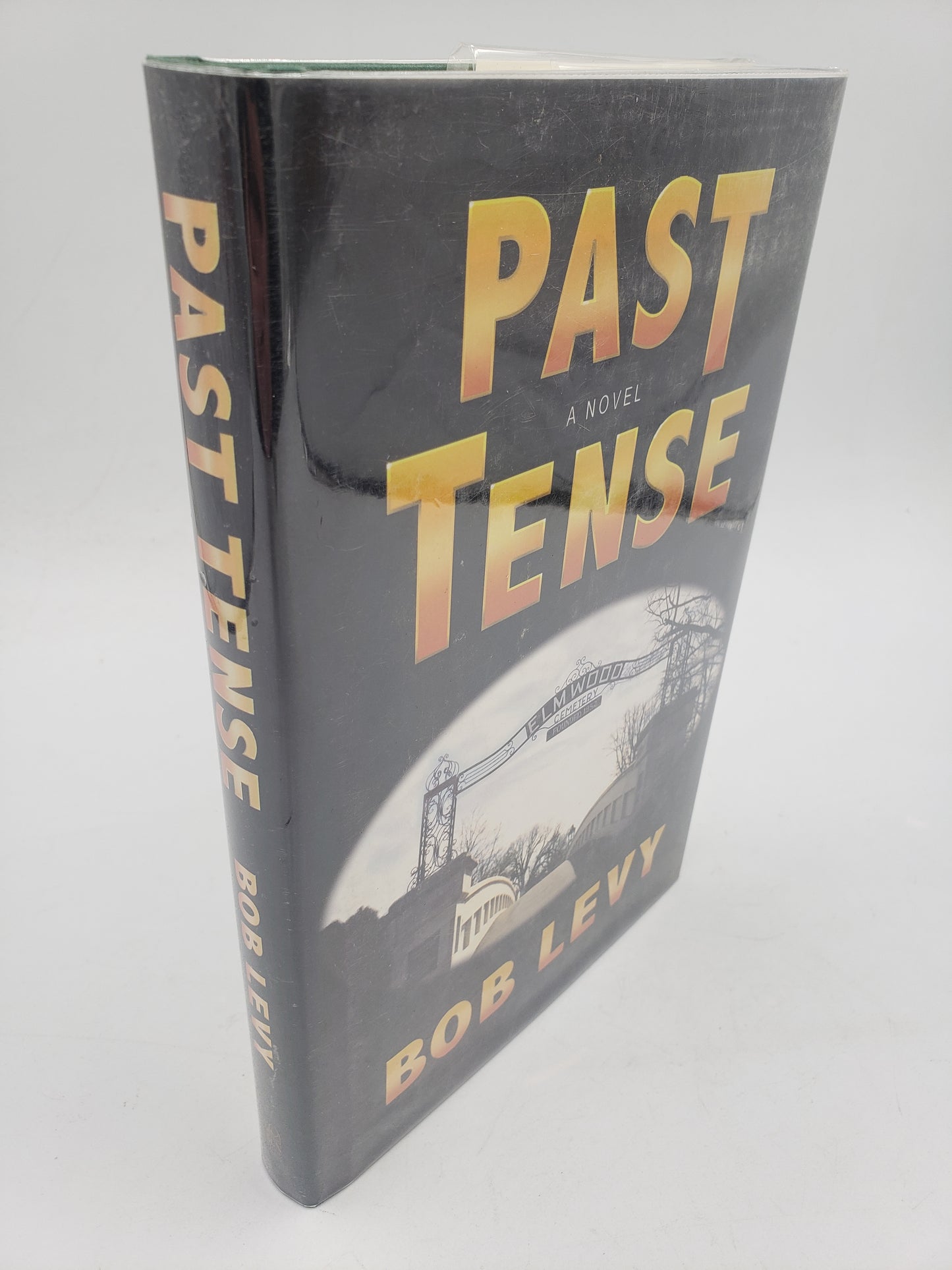 Past Tense: A Novel