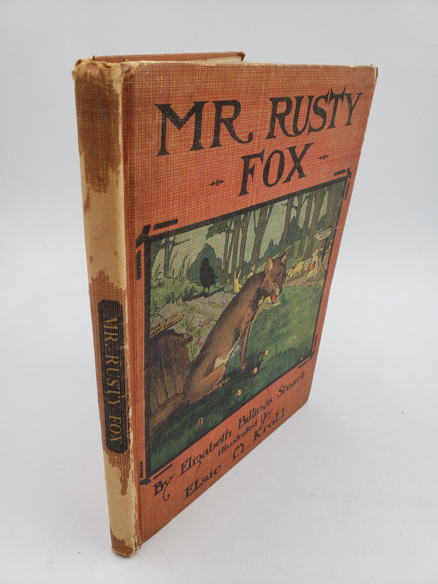 Mr. Rusty Fox