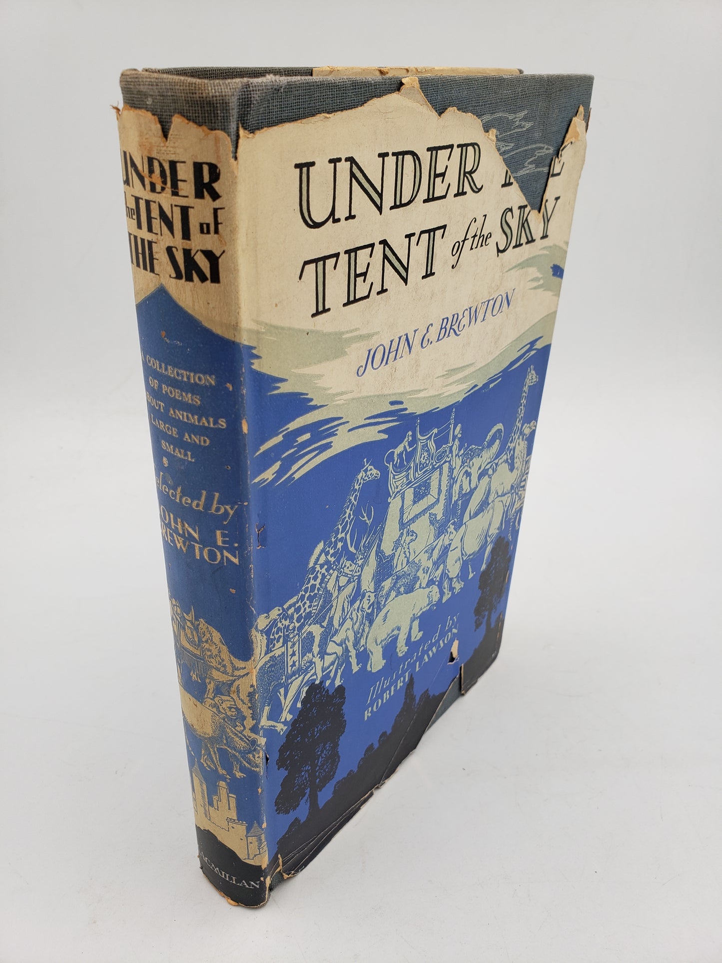 Under The Tent Of The Sky: A Collection Of Poems About Animals Large And Small