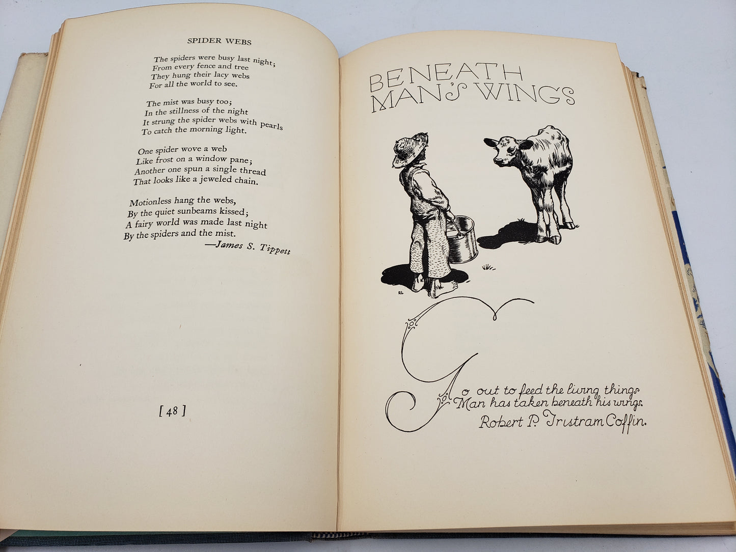 Under The Tent Of The Sky: A Collection Of Poems About Animals Large And Small