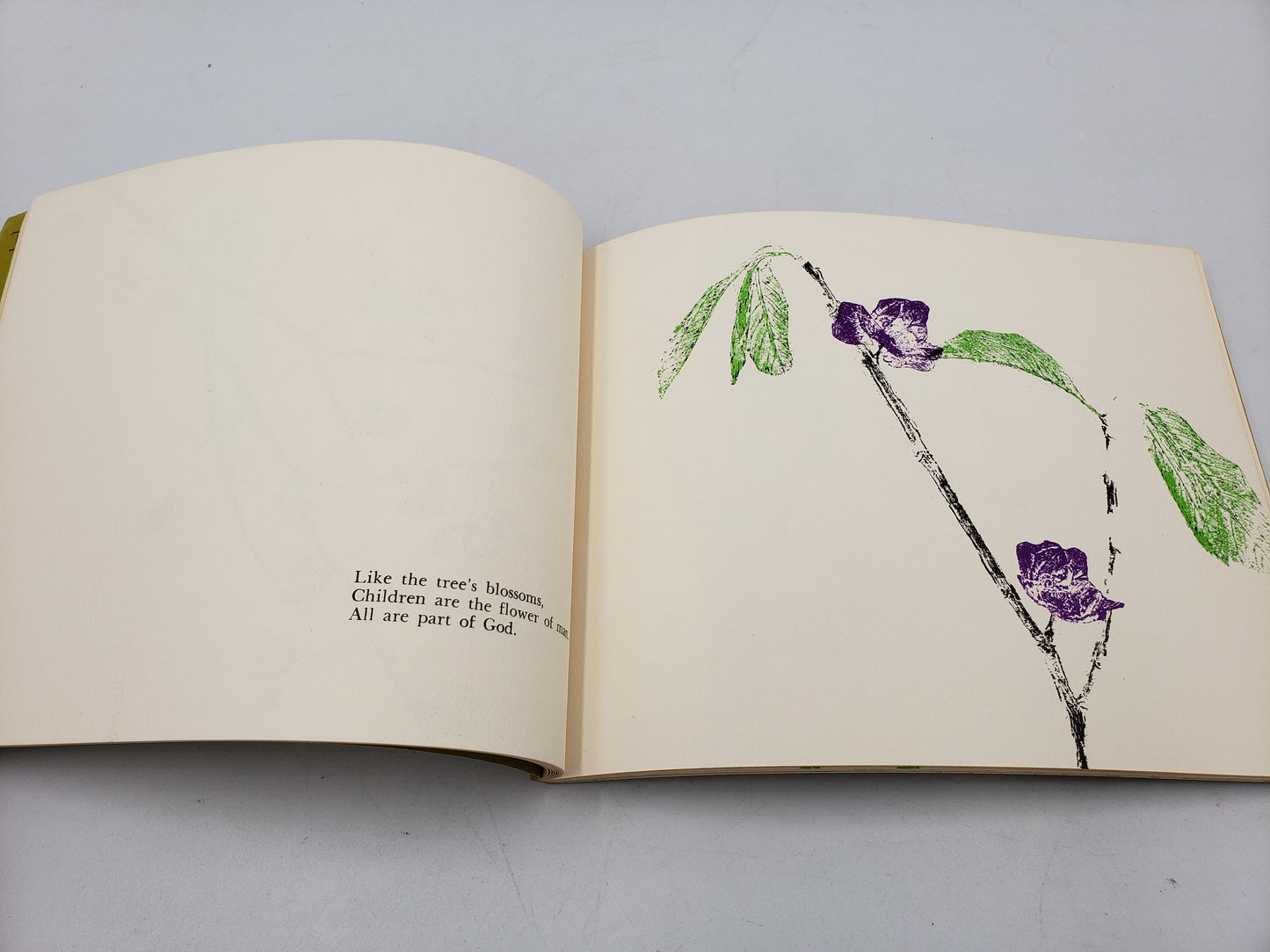 As Oaks From Acorns Sprout: A book of nature prints and haiku
